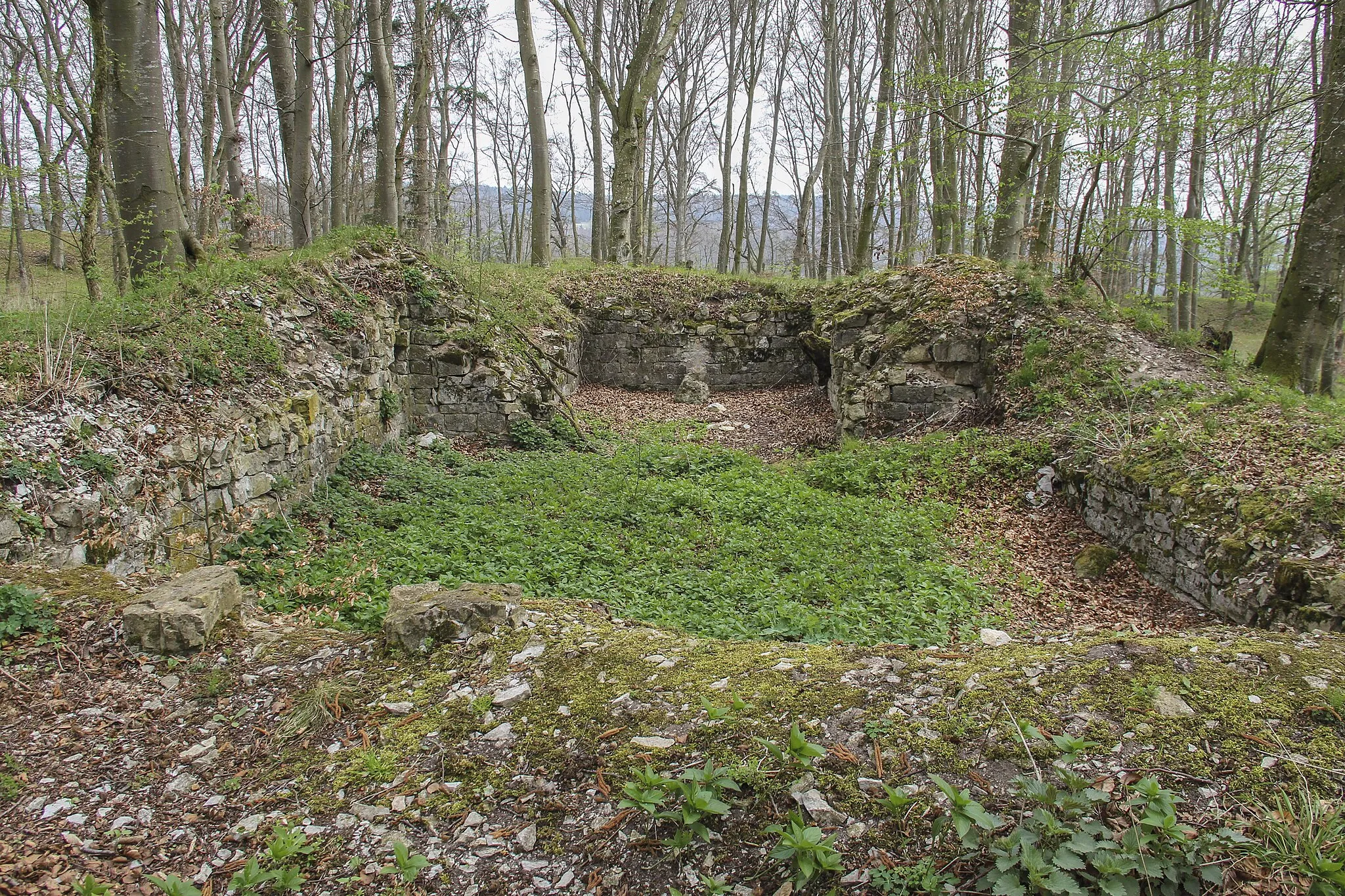 Photo showing: Burg Stahelsberg, Panorama, Klosterkirche