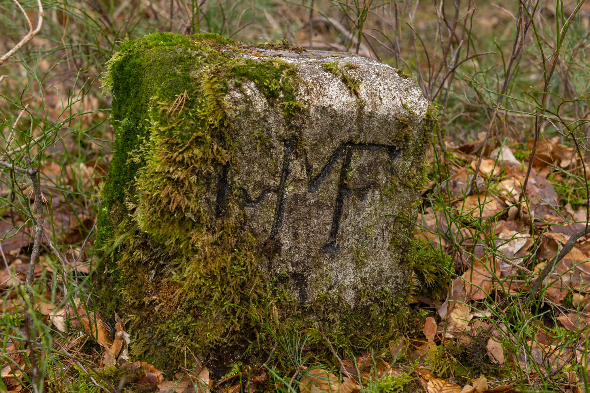 Photo showing: Baudenkmal,D-5-63-000-1641,Forstgrenzstein,Grenzstein