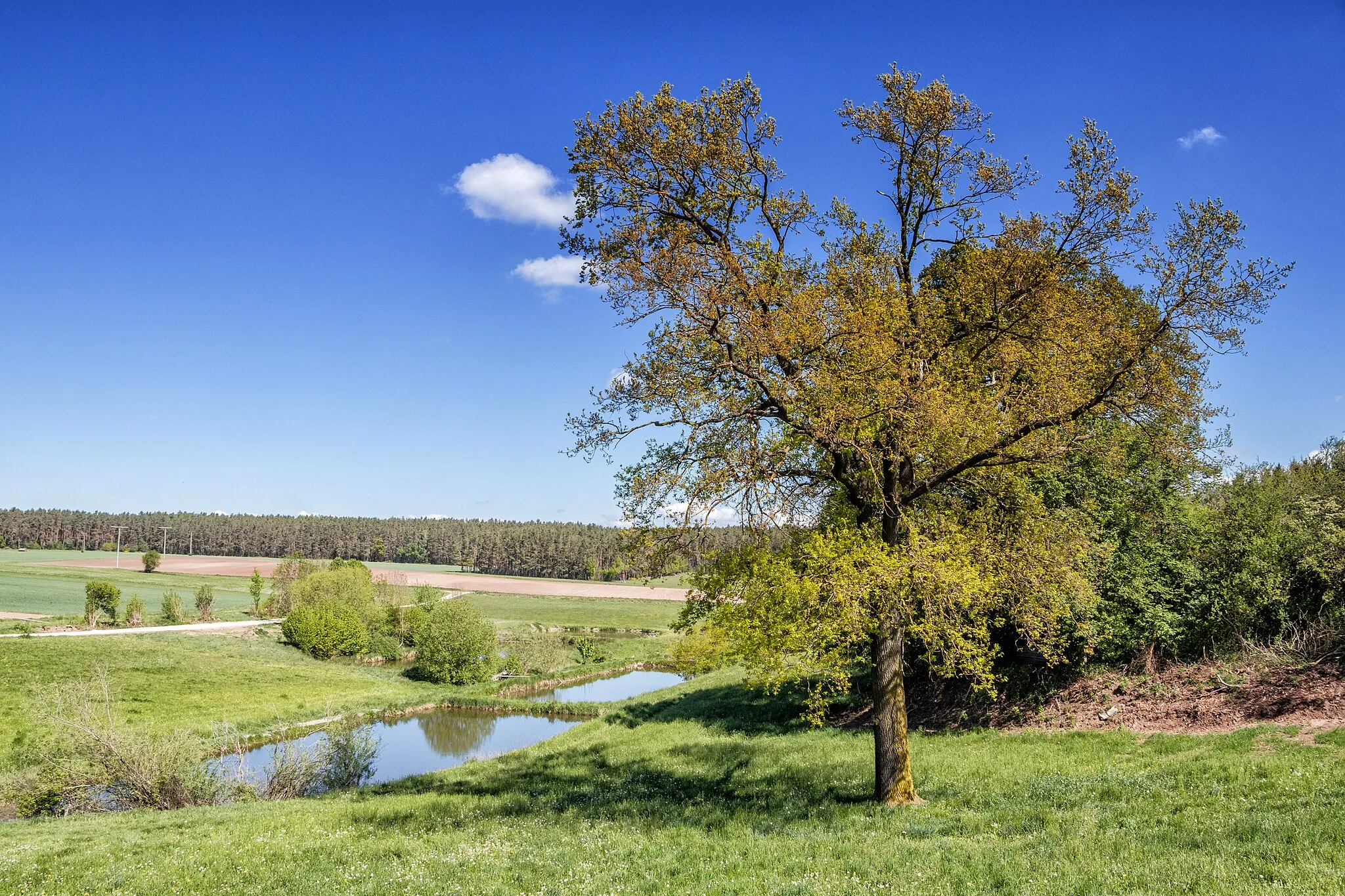 Photo showing: Hirtenbachtal, Ebersbach, Abenberg, Weiherkette, LSG-00427.01, Schutz des Landschaftsraumes im Gebiet des Landkreises Roth - "Südliches Mittelfränkisches Becken westlich der Schwäbischen Rezat und der Rednitz mit Spalter Hügelland, Abenberger Hügelgruppe und Heidenberg" (LSG West)