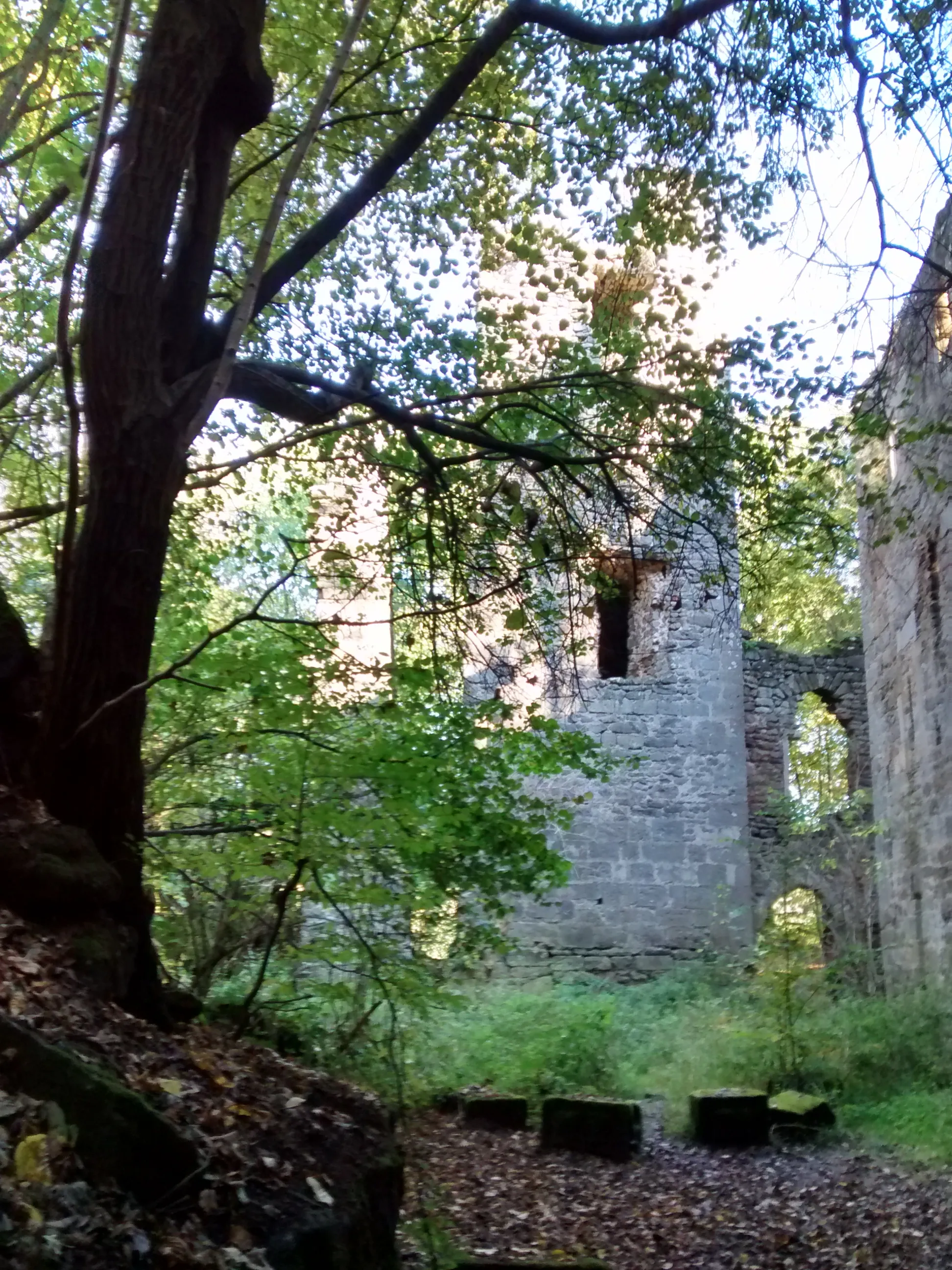 Photo showing: Burg Leonrod
