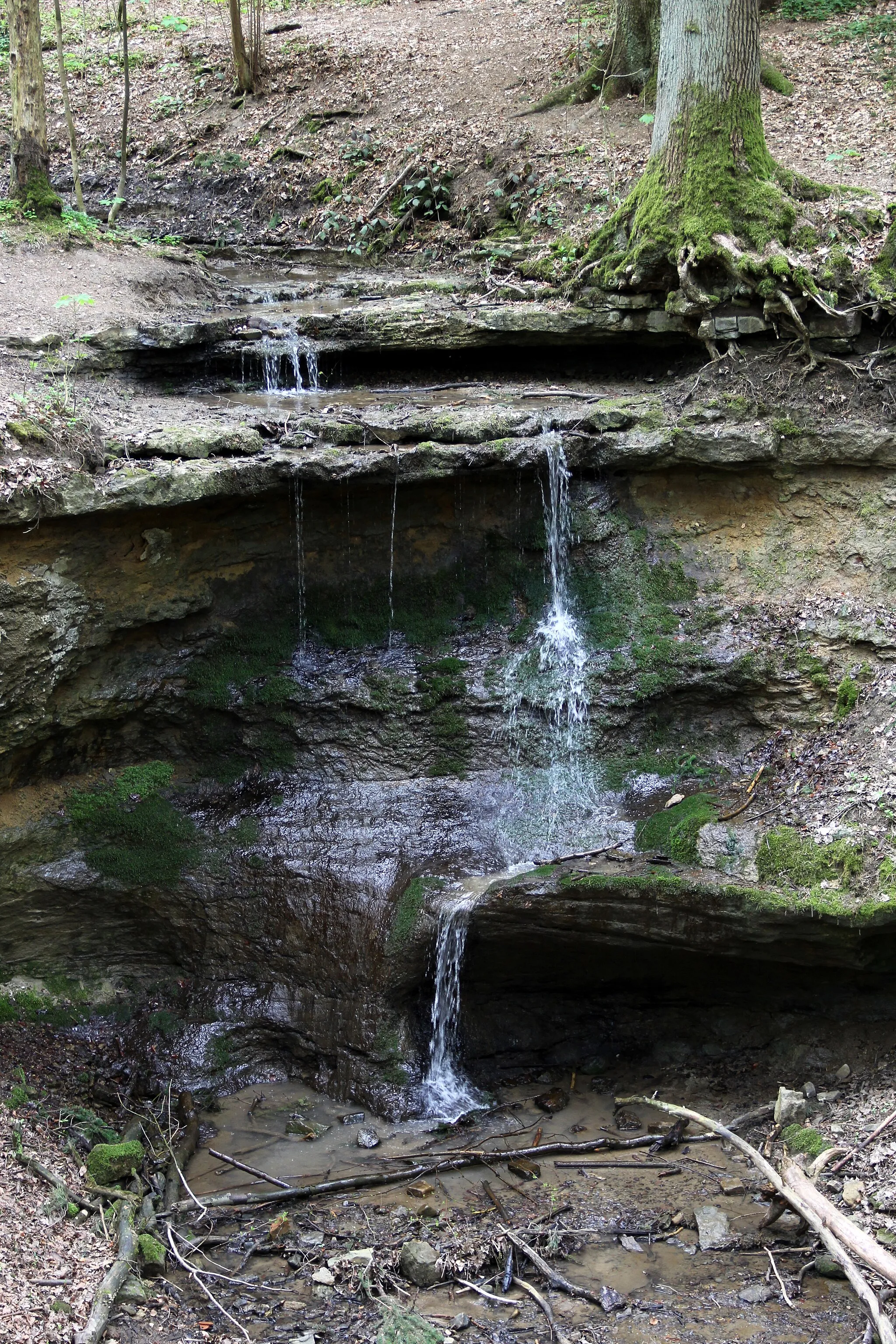 Photo showing: Klingender Wasserfall