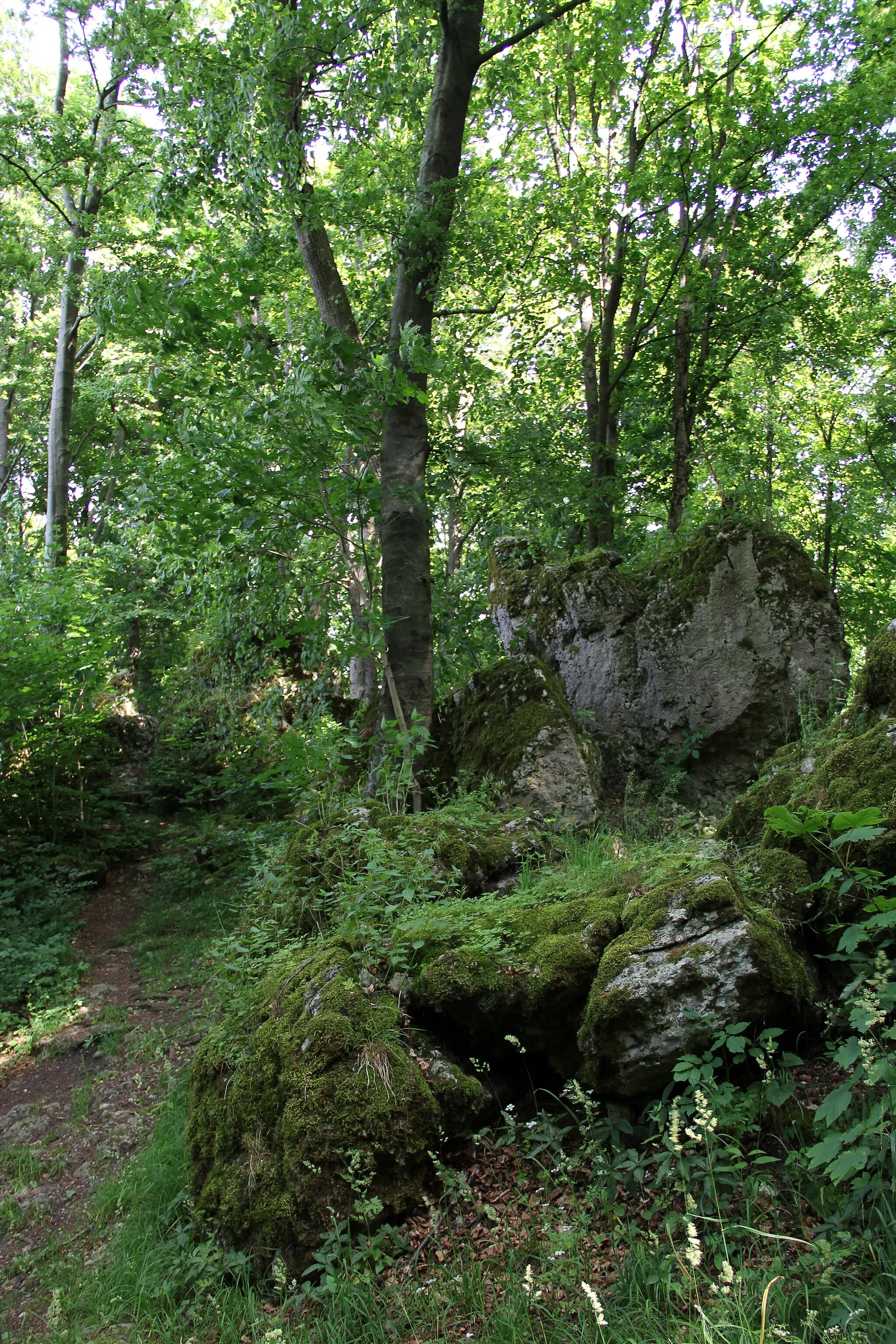 Photo showing: Grosser Hansgörgel, Gipfel