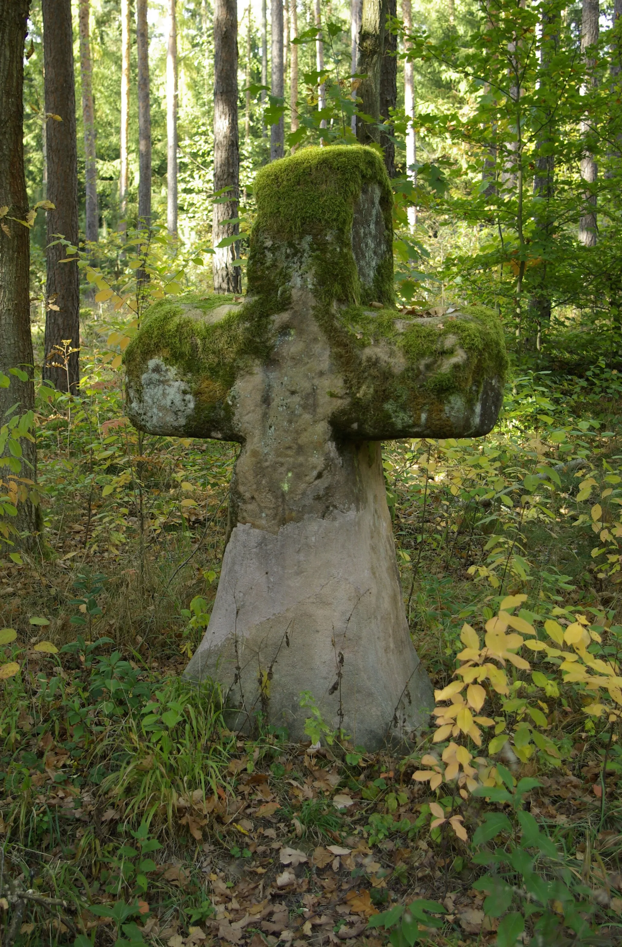 Photo showing: Der Fuhrmannsstein im Forst Tennenlohe im Landkreis Erlangen-Höchstadt.