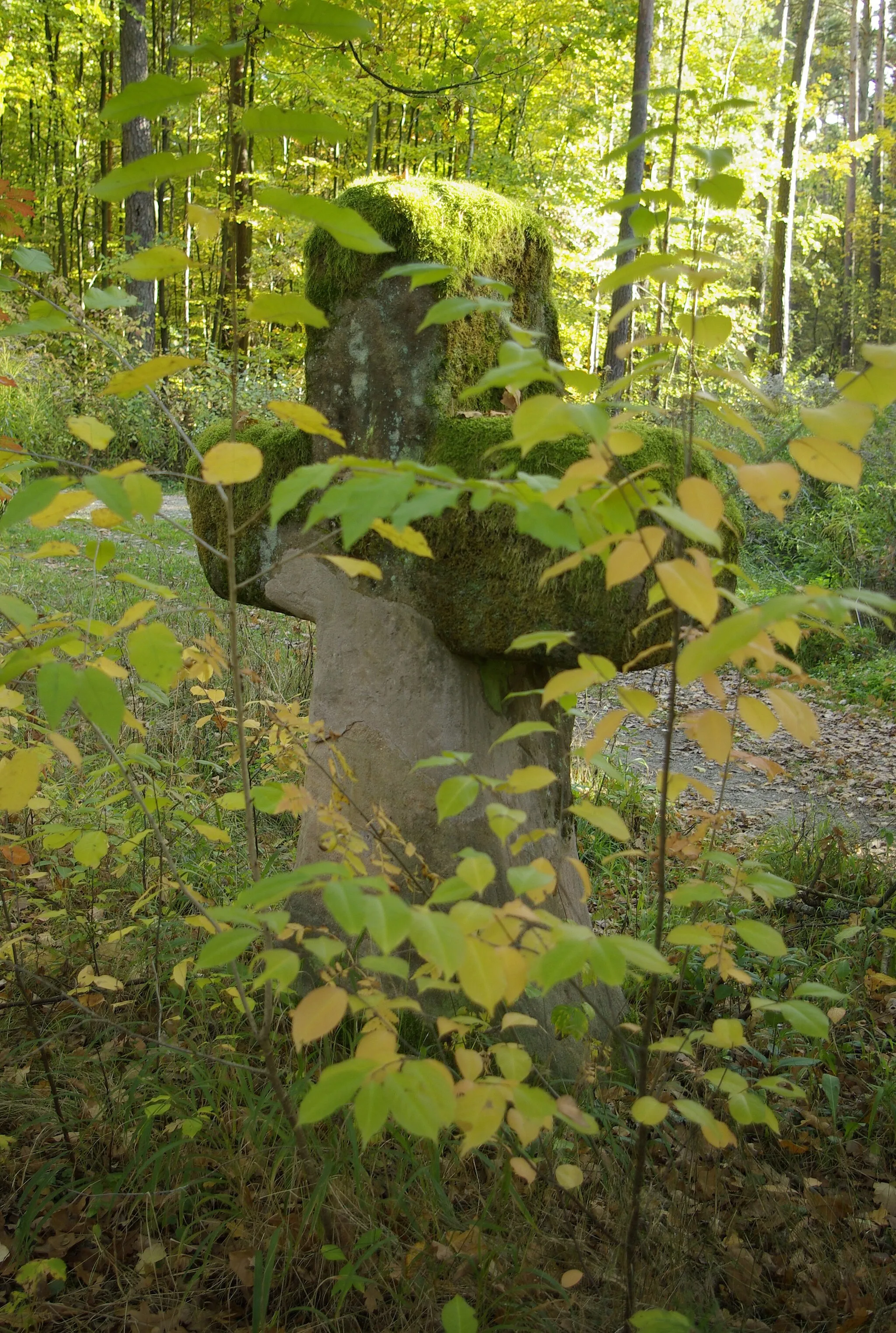 Photo showing: Der Fuhrmannsstein im Forst Tennenlohe im Landkreis Erlangen-Höchstadt.