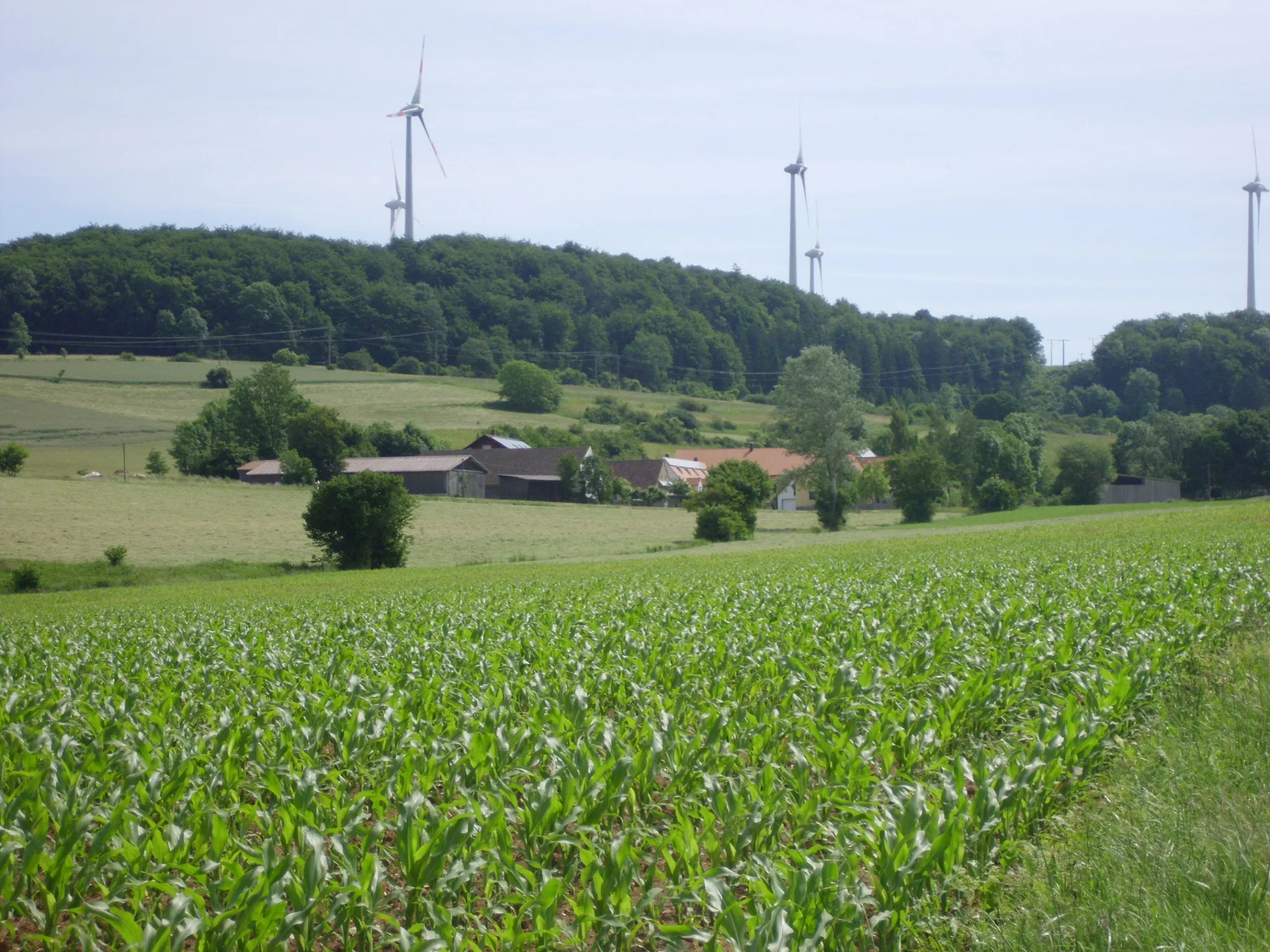 Photo showing: Eggenthal, Ortsteil des Marktes Heidenheim im mittelfränkischen Landkreis Weißenburg-Gunzenhausen