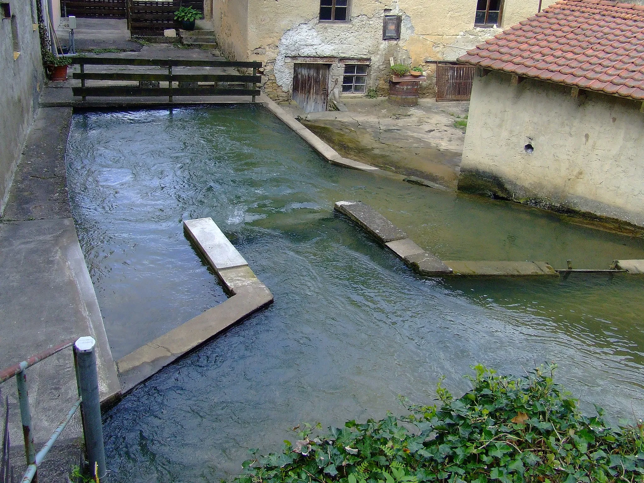 Photo showing: Strong Karst spring at Mörnsheim, district of Eichstätt in Bavaria, Germany.