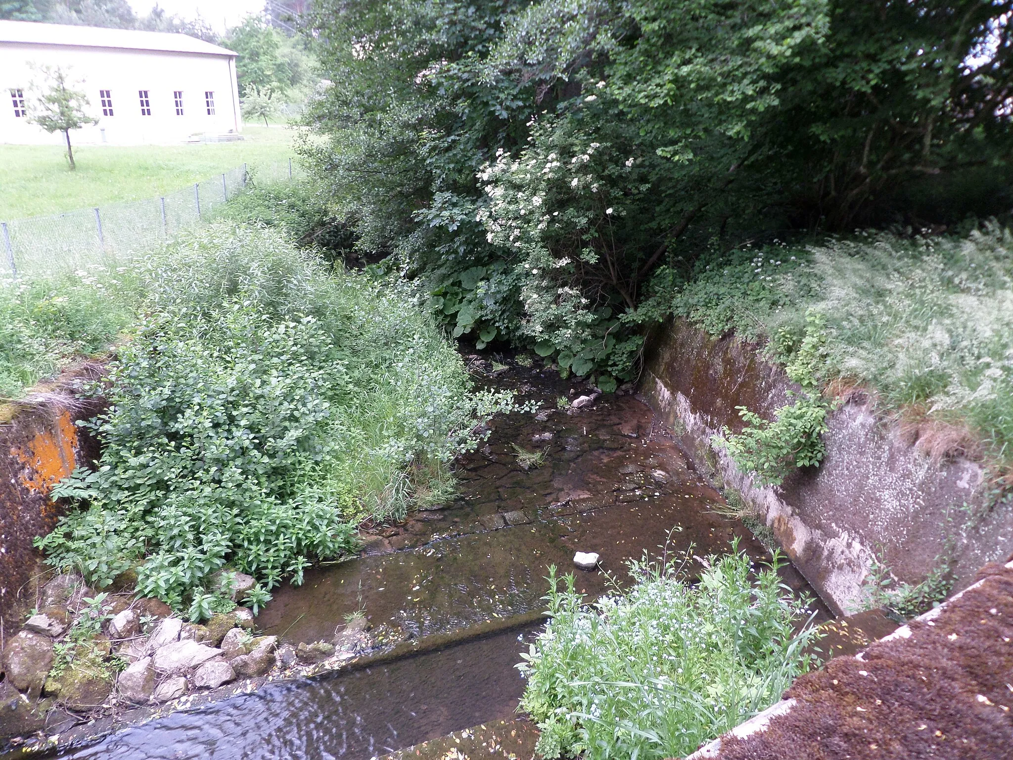 Photo showing: Haidelbach beim Wasserwerk Krämersweiher