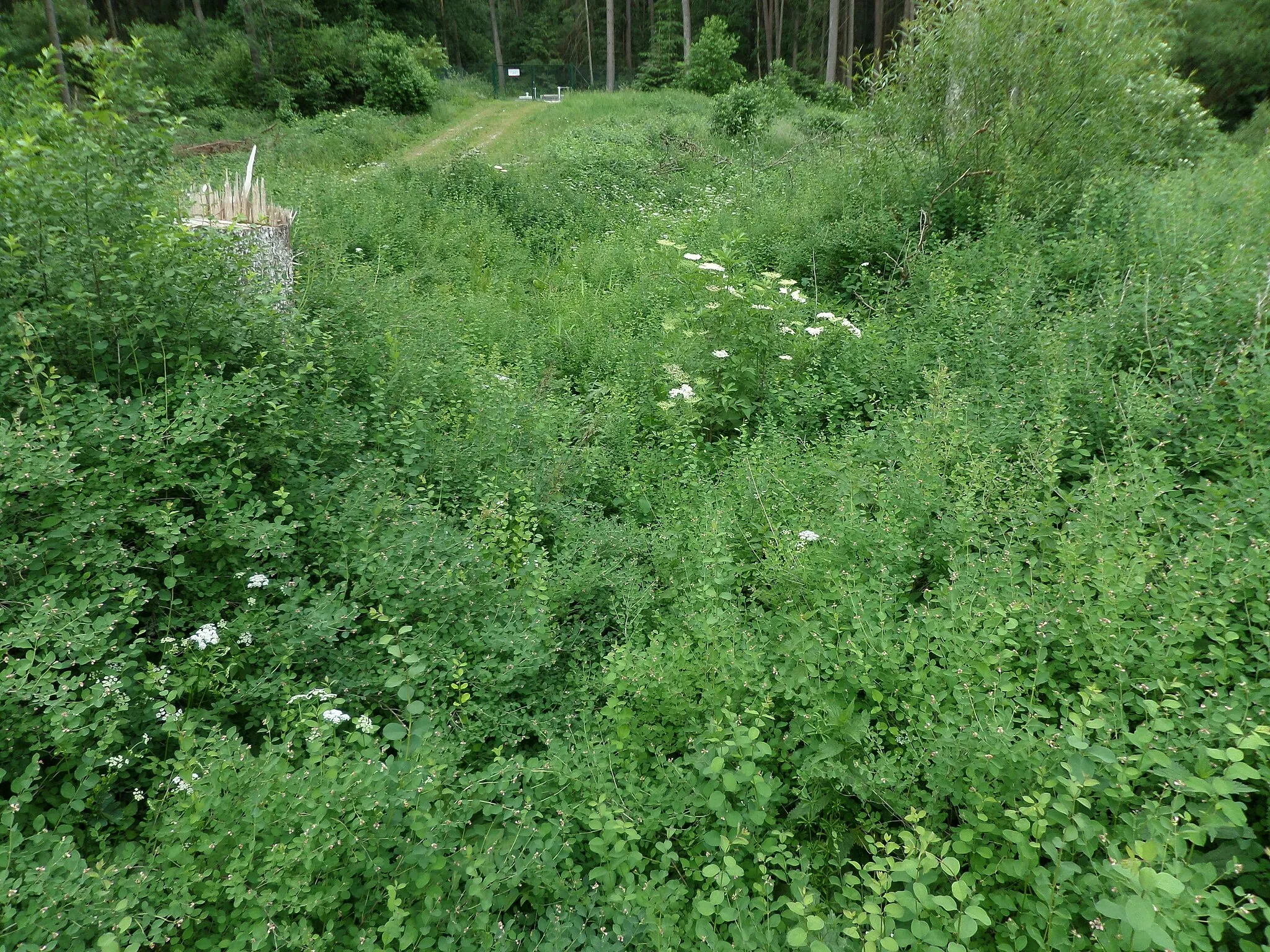 Photo showing: Urspringbach beim Wasserwerk Krämersweiher