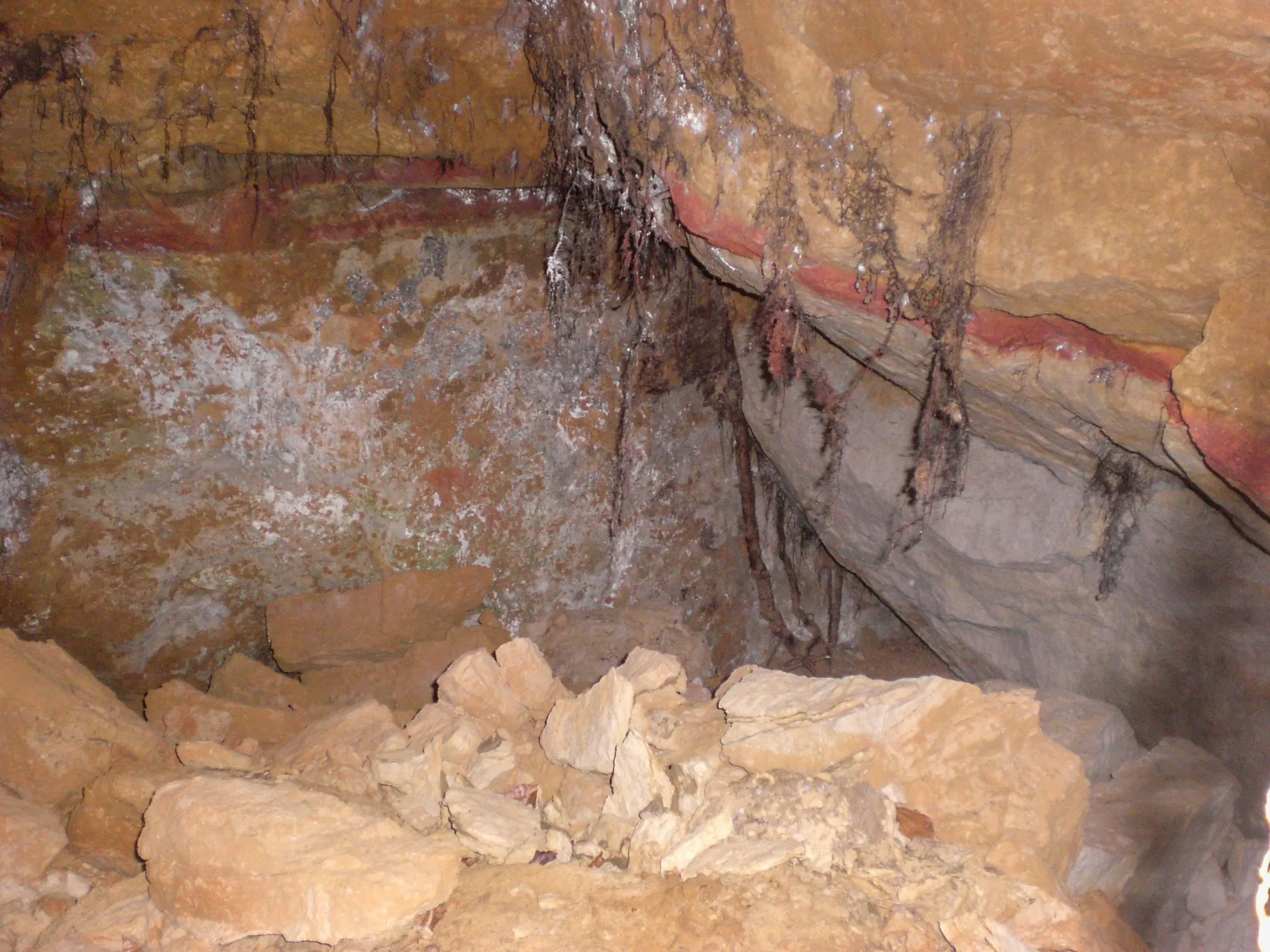 Photo showing: Silbersandhöhle im Ziegelbruckholz bei Gersdorf, Silbersandhöhle, E 96