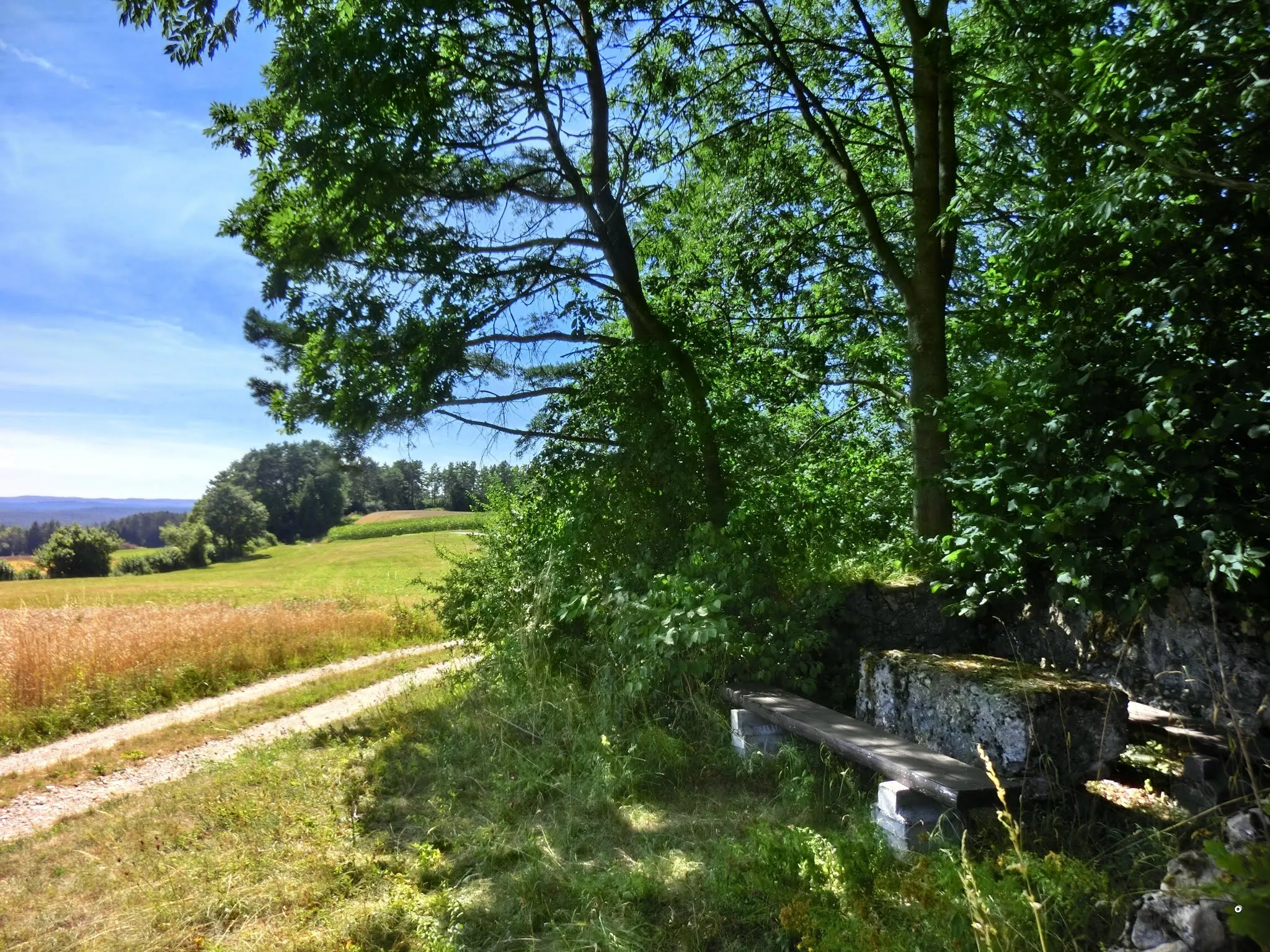 Photo showing: Schattiger Rastplatz am Breitenstein