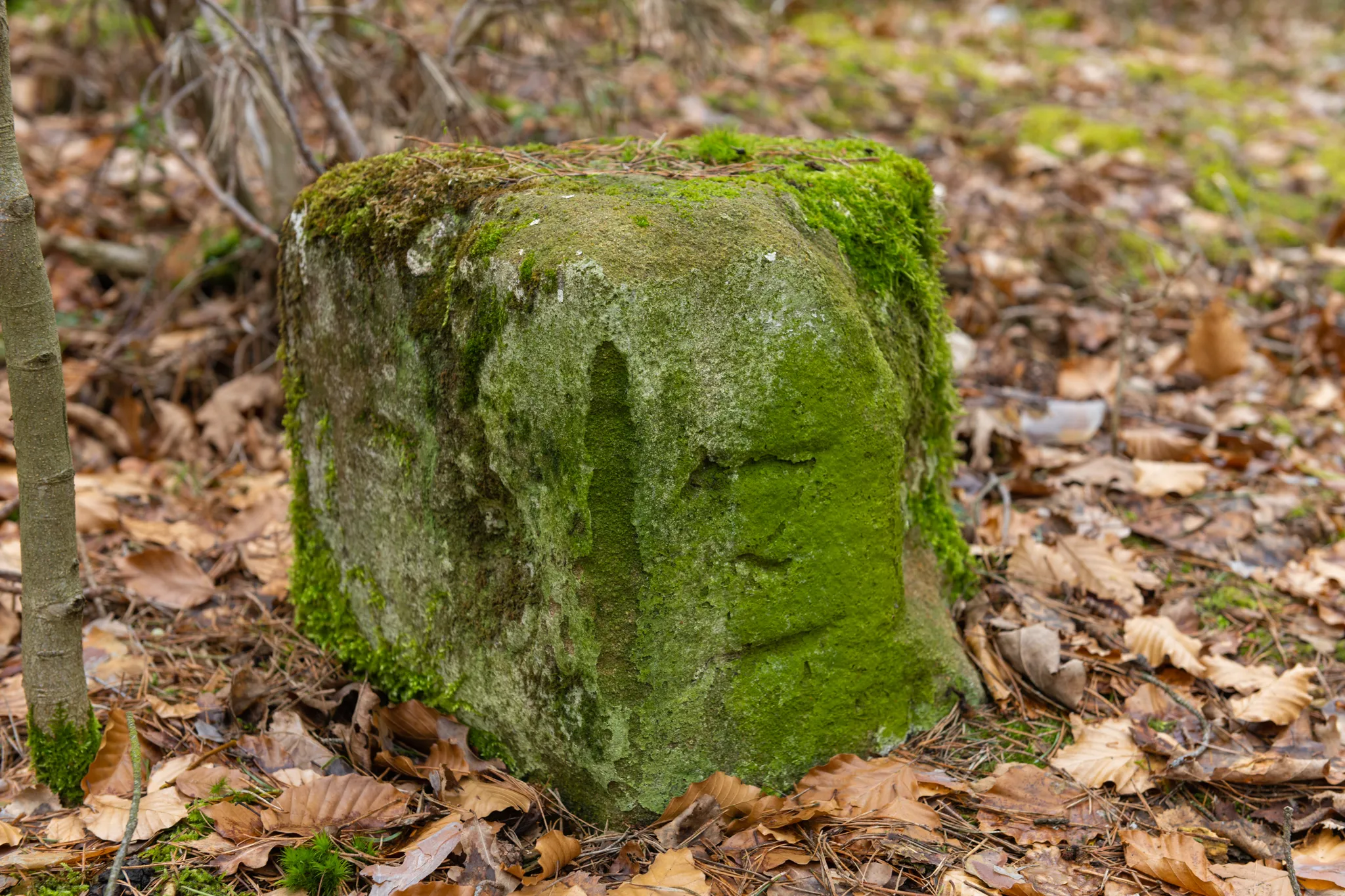 Photo showing: Baudenkmal,D-5-63-000-1853,Forstgrenzstein,Grenzstein