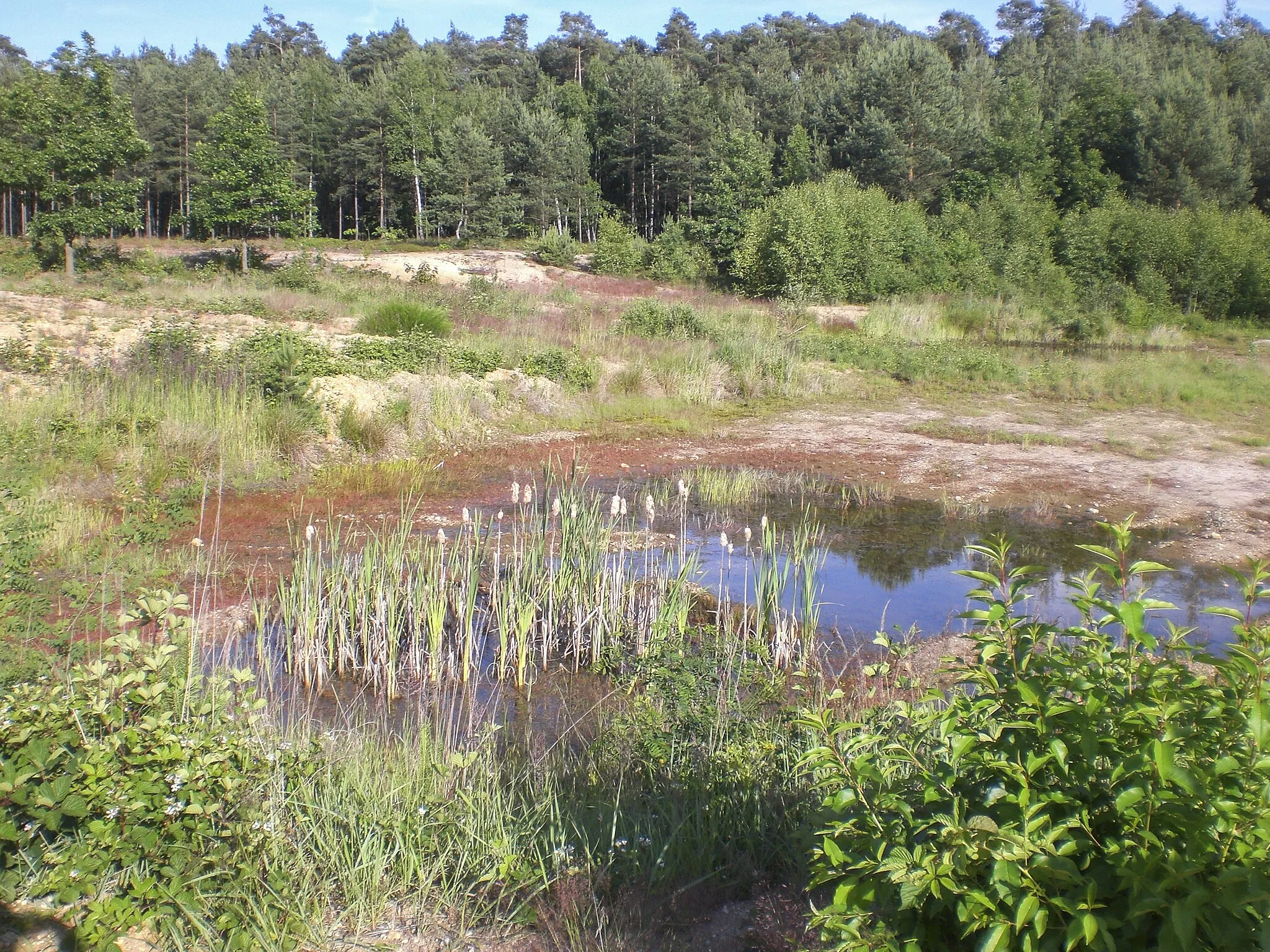 Photo showing: This is a picture of the protected area listed at WDPA under the ID