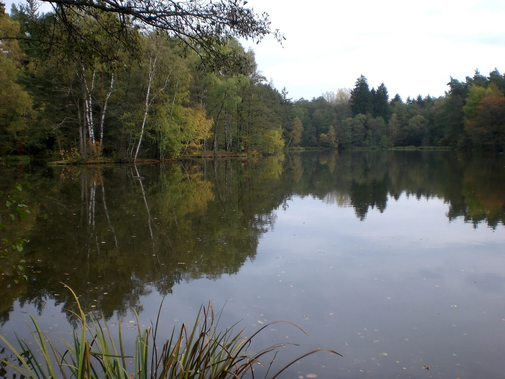 Photo showing: Eisweiher (Fischbach b. Nürnberg)