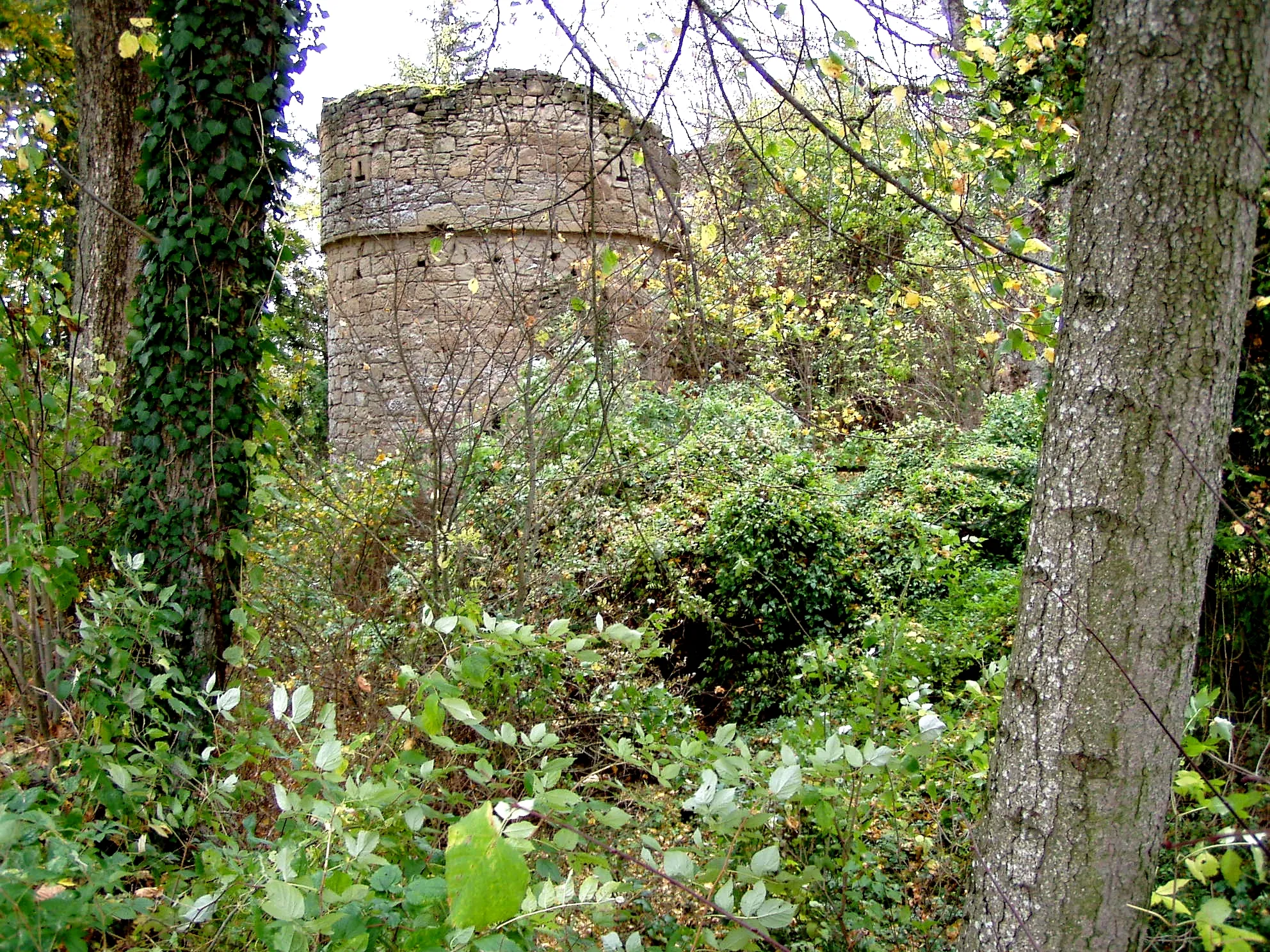 Photo showing: Ruine Hinterfrankenberg im Steigerwald