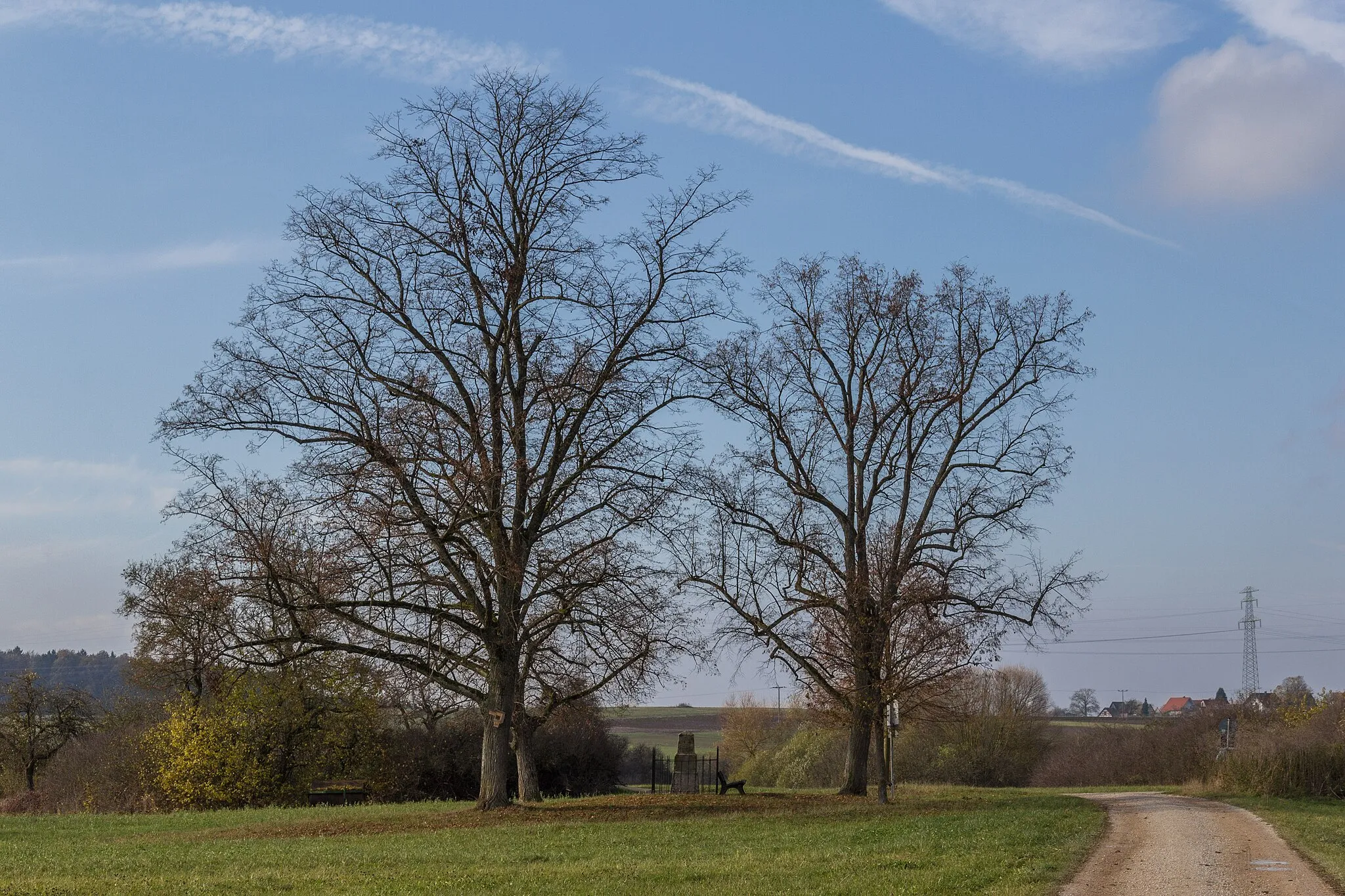 Photo showing: Dörlbacher Au, Denkmal, Naturdenkmal, Burgthann