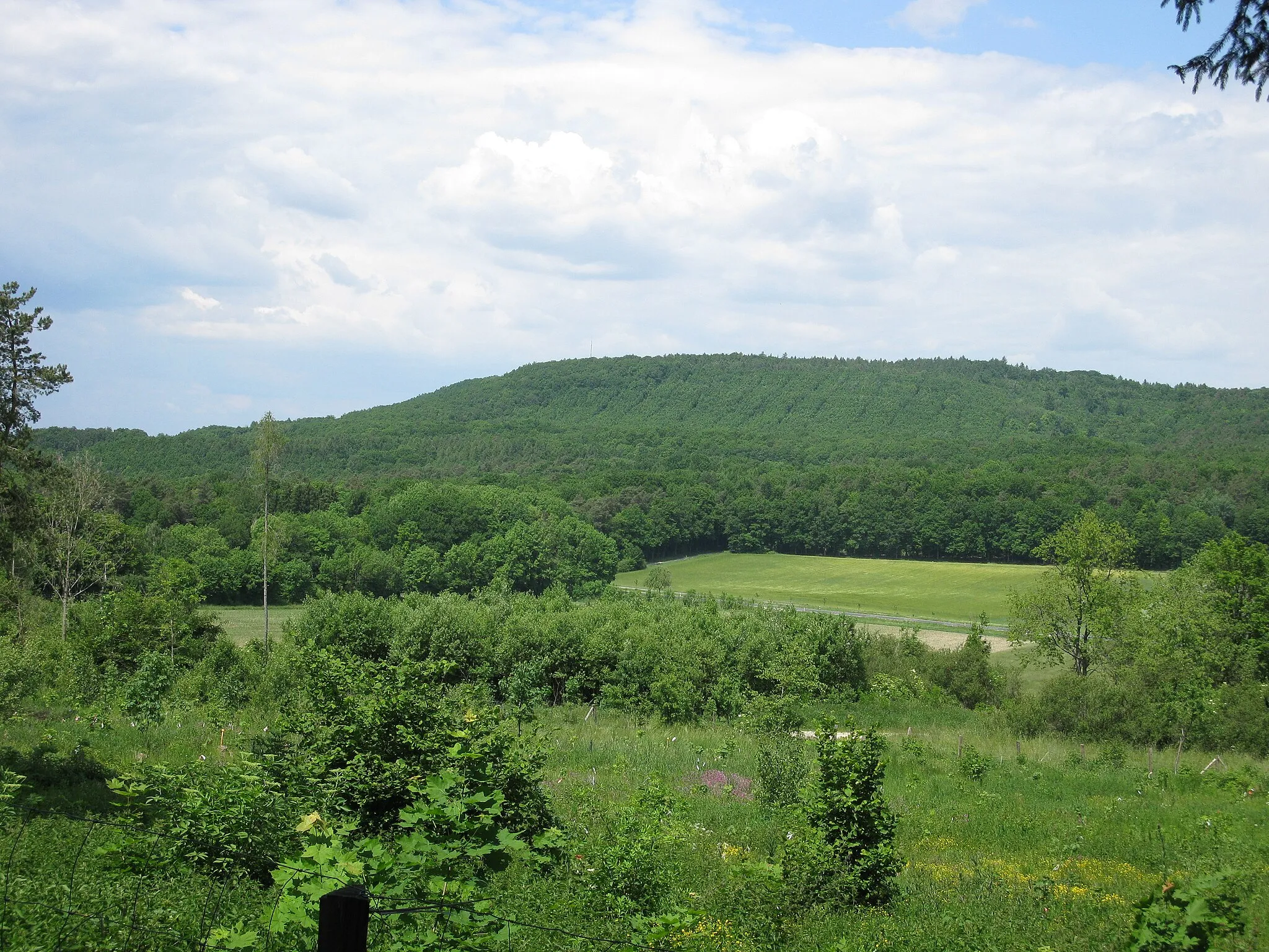 Photo showing: FFH-Gebiet "Buchenwälder und Wiesentäler des Nordsteigerwalds"