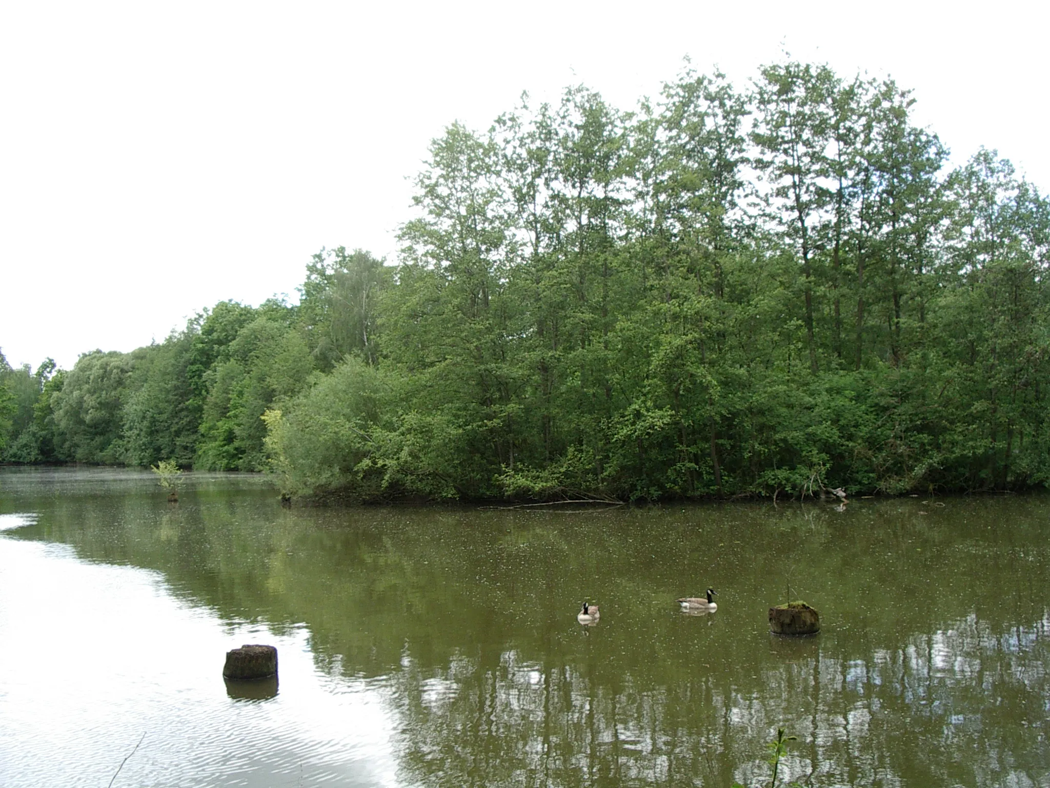 Photo showing: Hainberg near Nürnberg