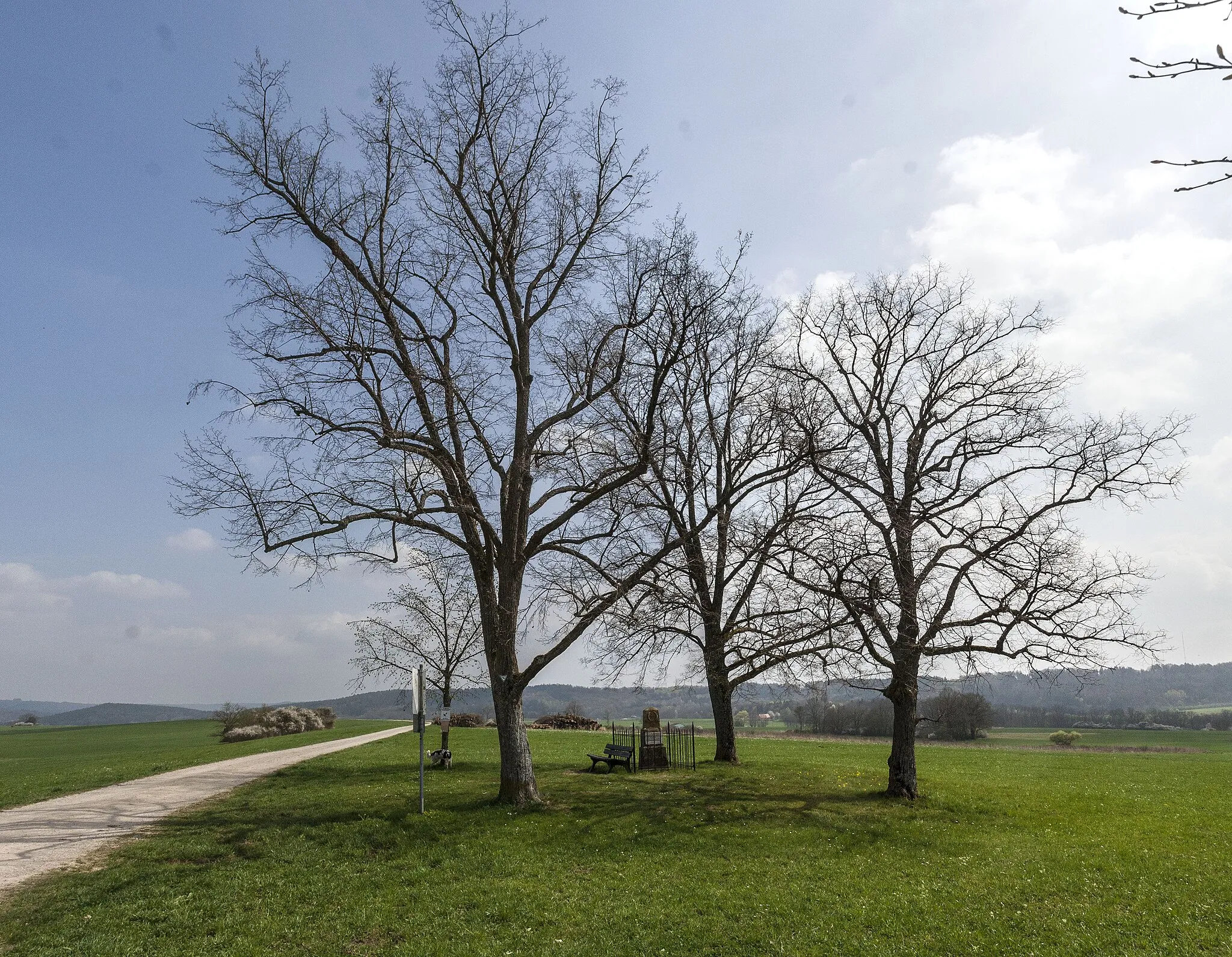 Photo showing: LSG Schwarzachtal, Denkmal Westhaid