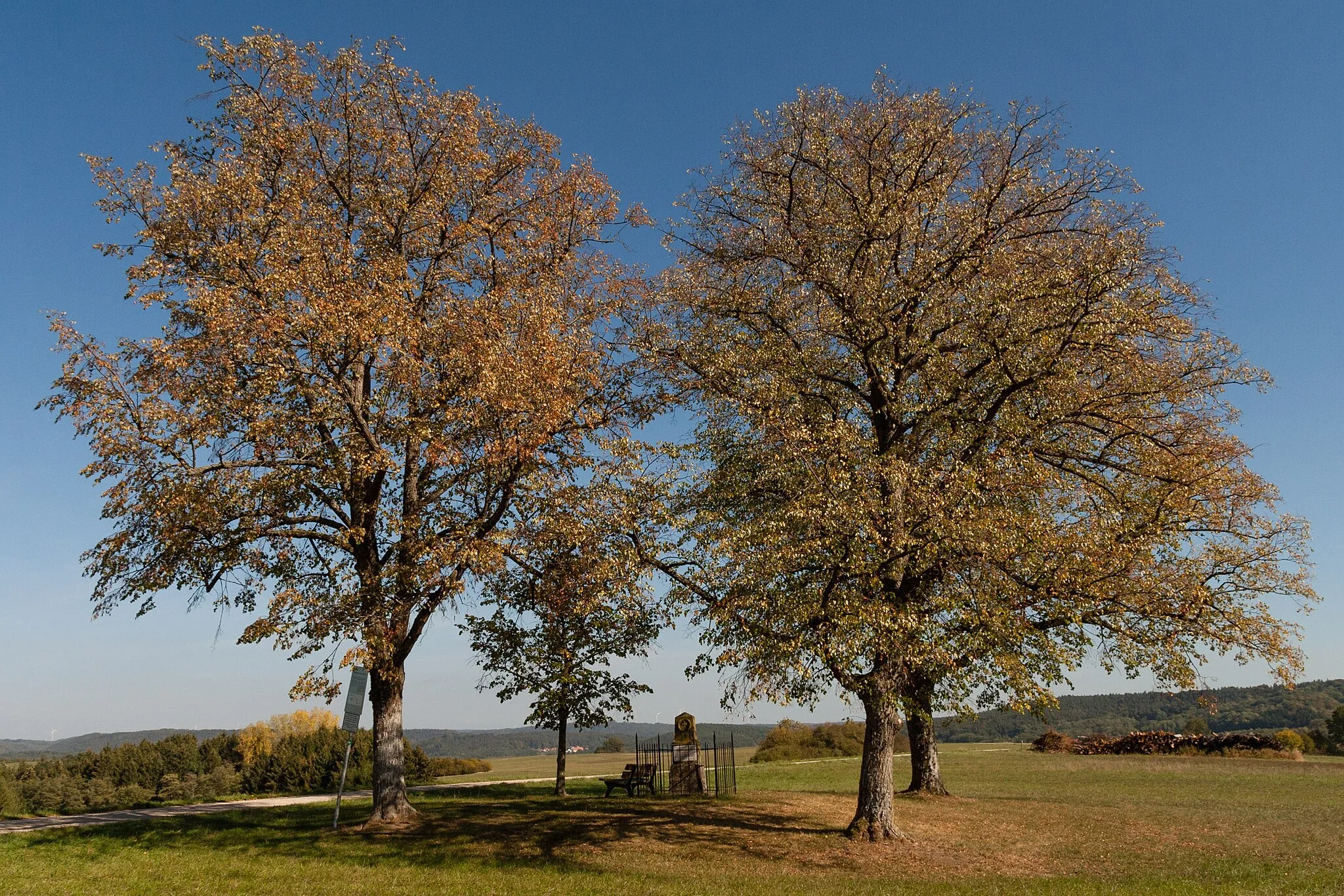 Photo showing: Burgthann, Dörlbach, Kriegerdenkmal Dörlbacher Au, Vier Friedenslinden