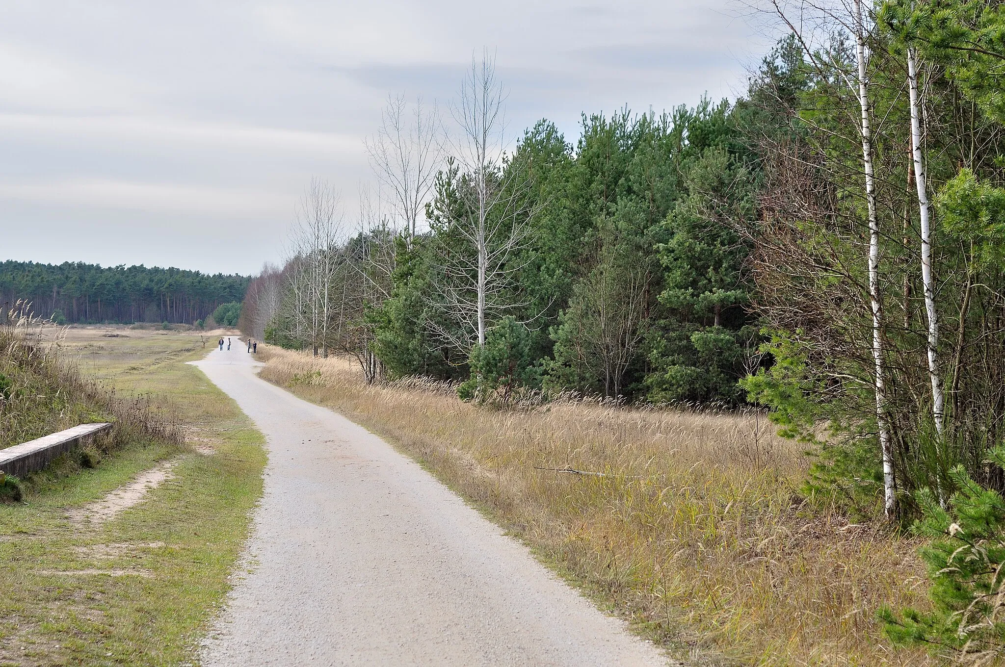 Photo showing: Nature Reserve Tennenloher Forst near Nuremberg, Bavaria, Germany