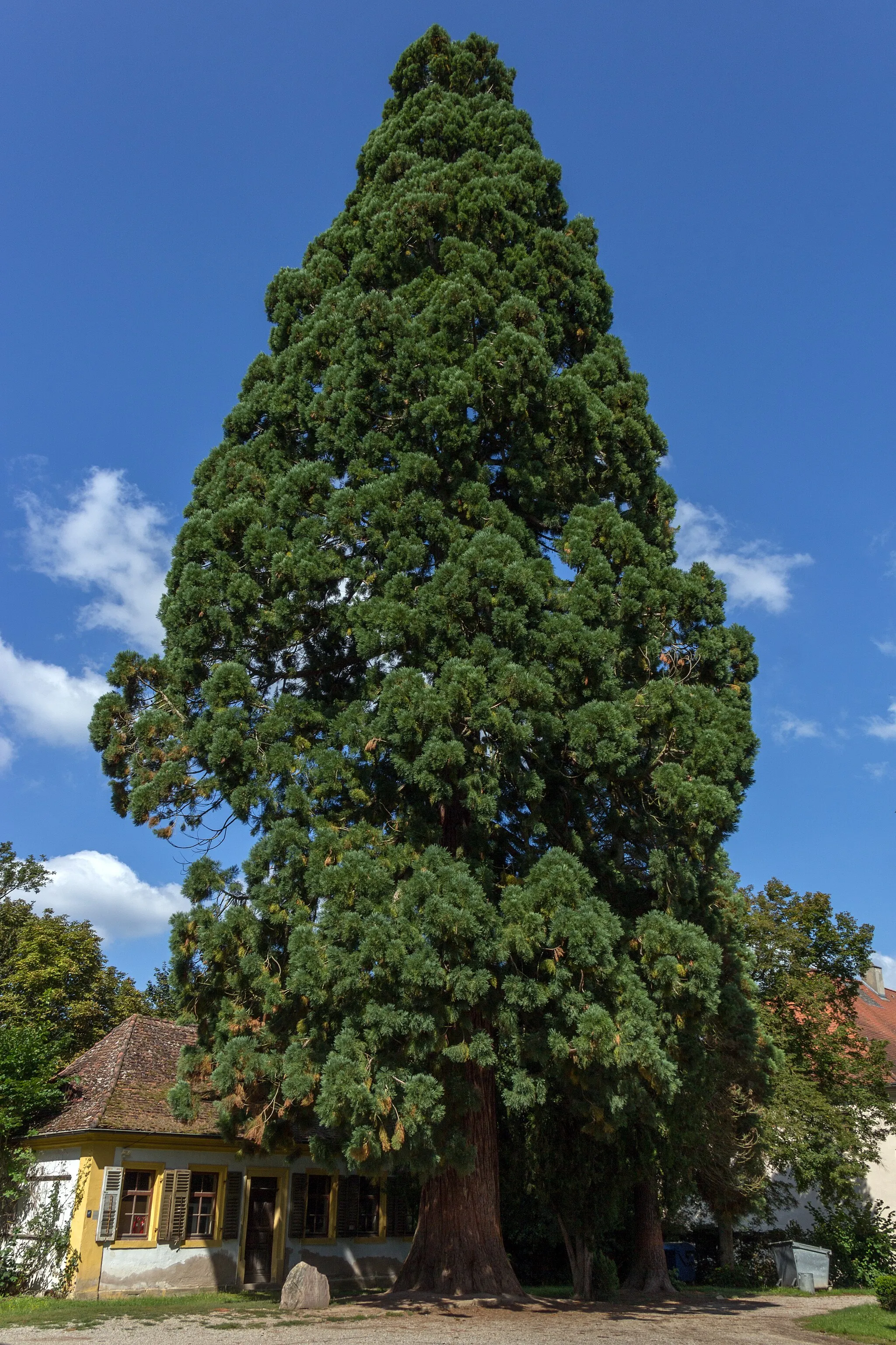 Photo showing: Park, Schwarzenberg 4, Schwarzenberg