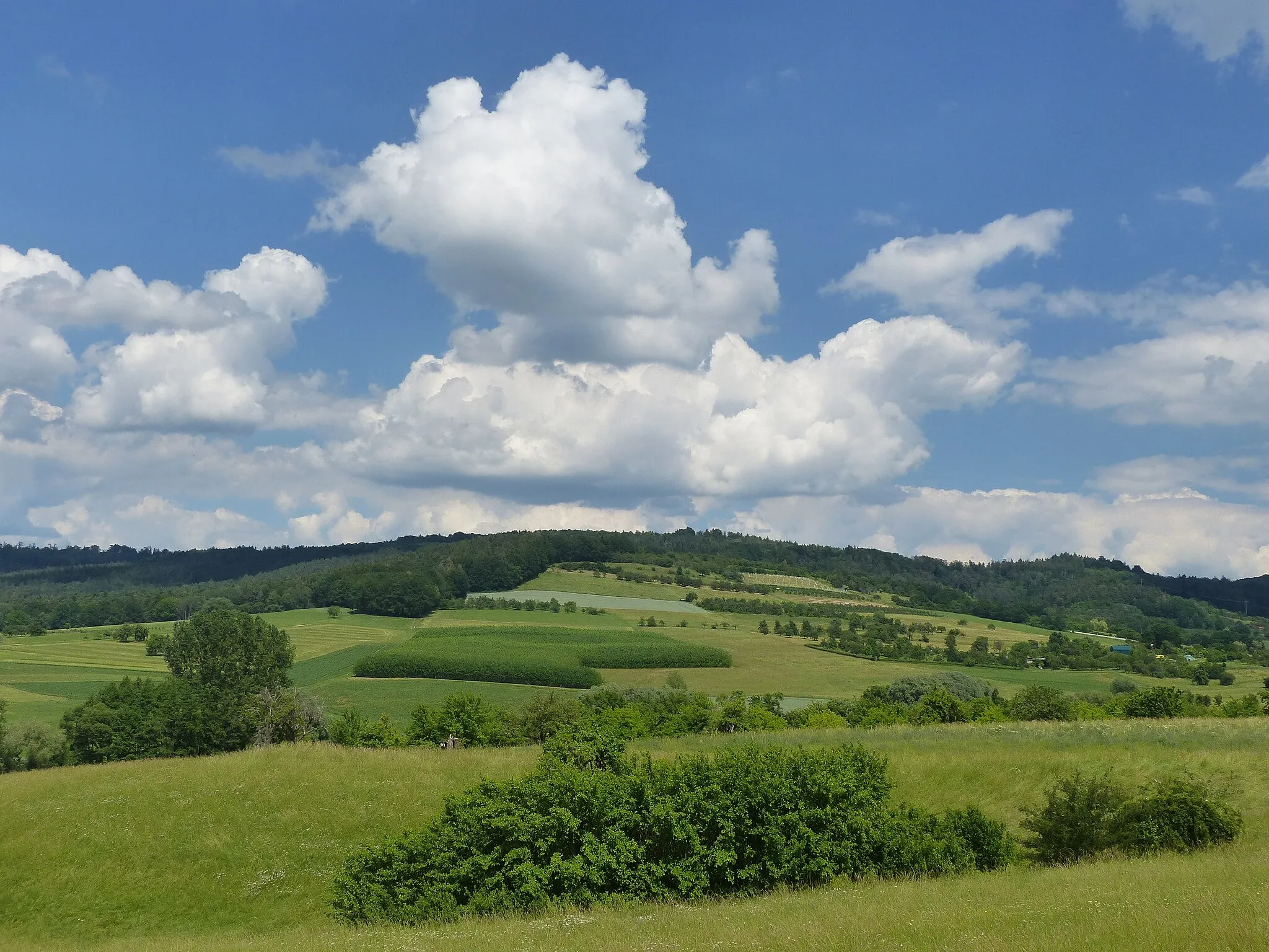 Photo showing: The southwestern slopes of the Hetzleser Berg, a mountain in the southwest of the Franconian Switzerland