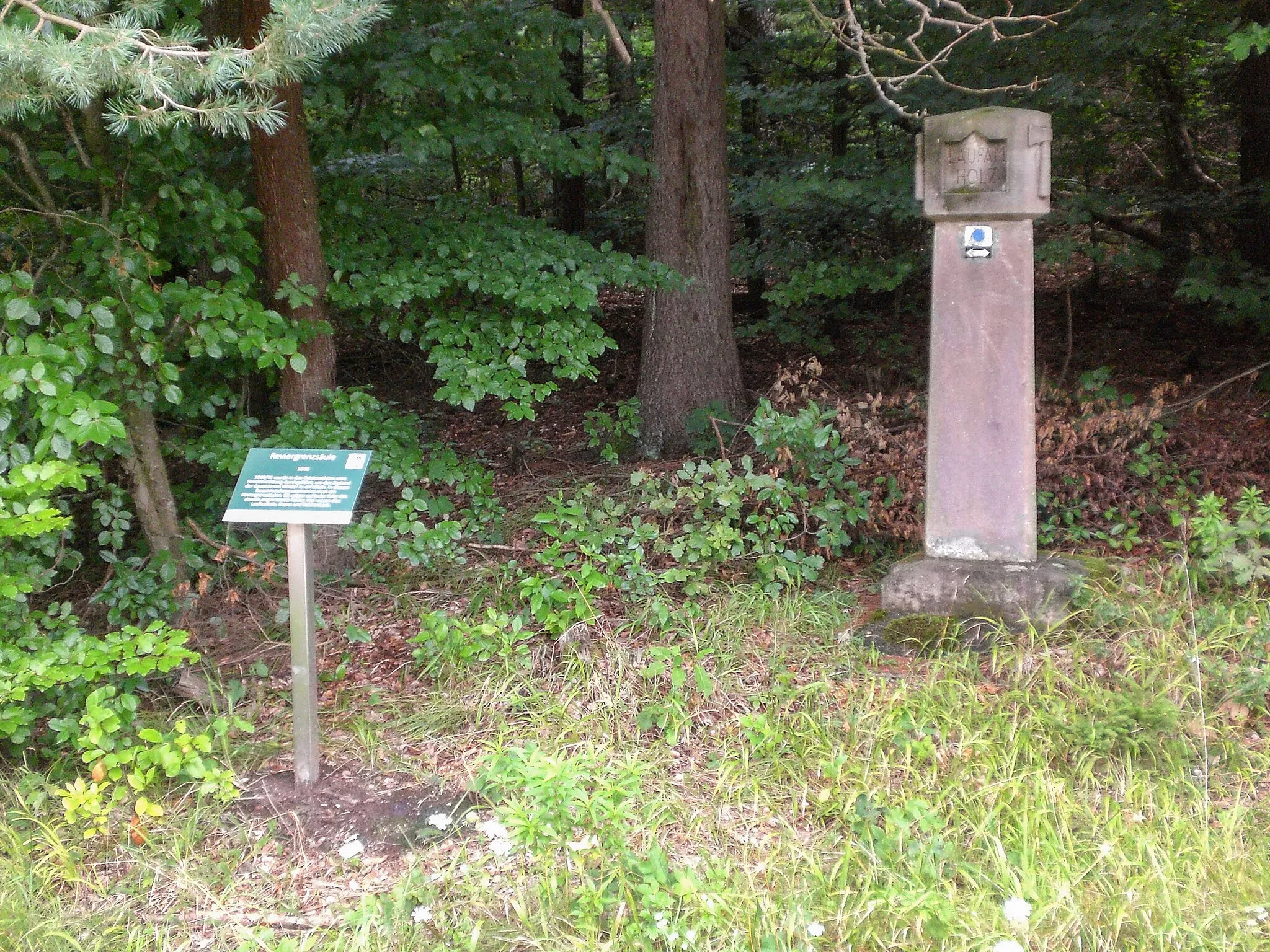 Photo showing: Forstreviergrenzstein, Drei Hutbuchen, Ansicht