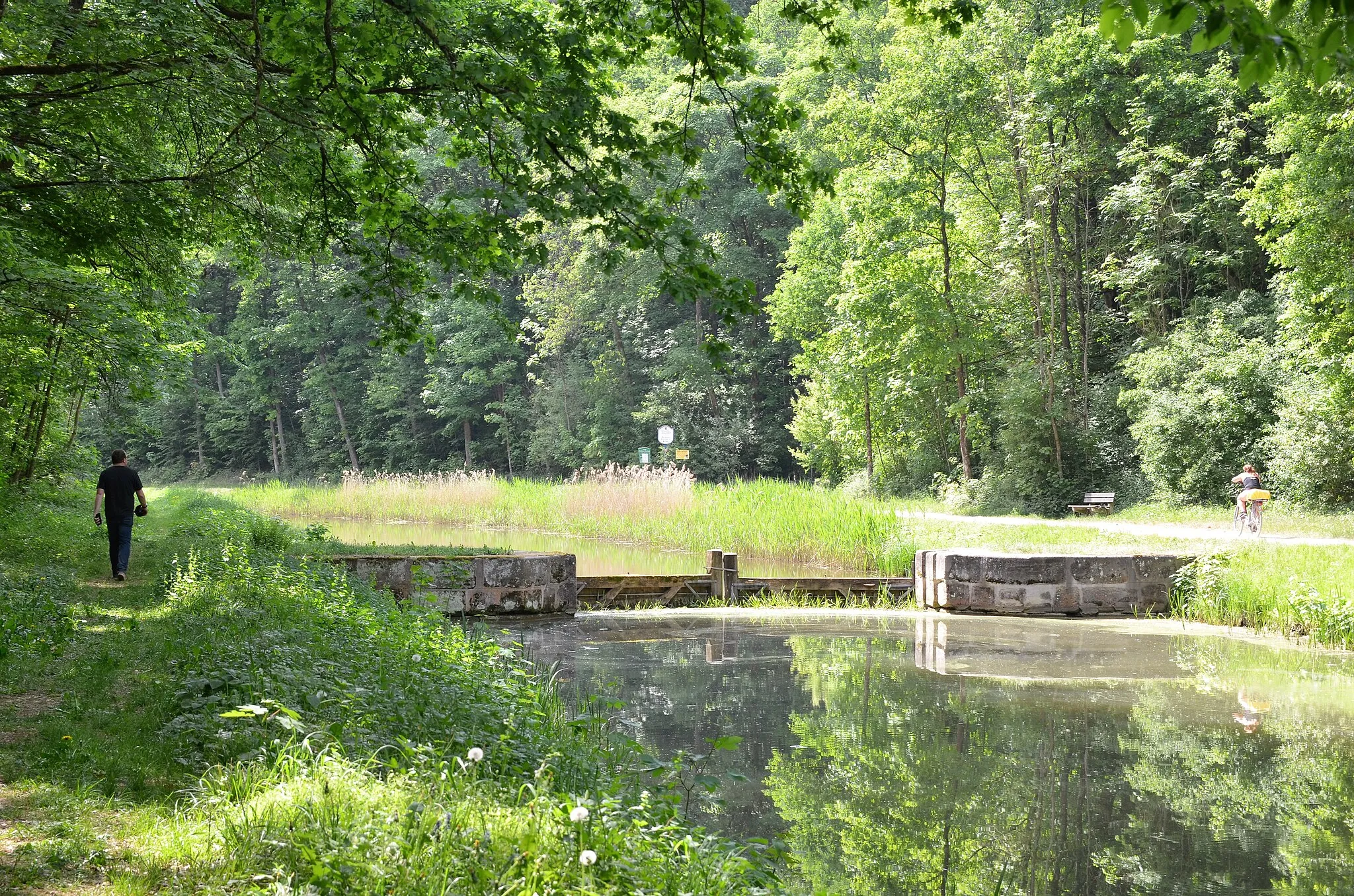 Photo showing: Ludwig Canal in Burgthann