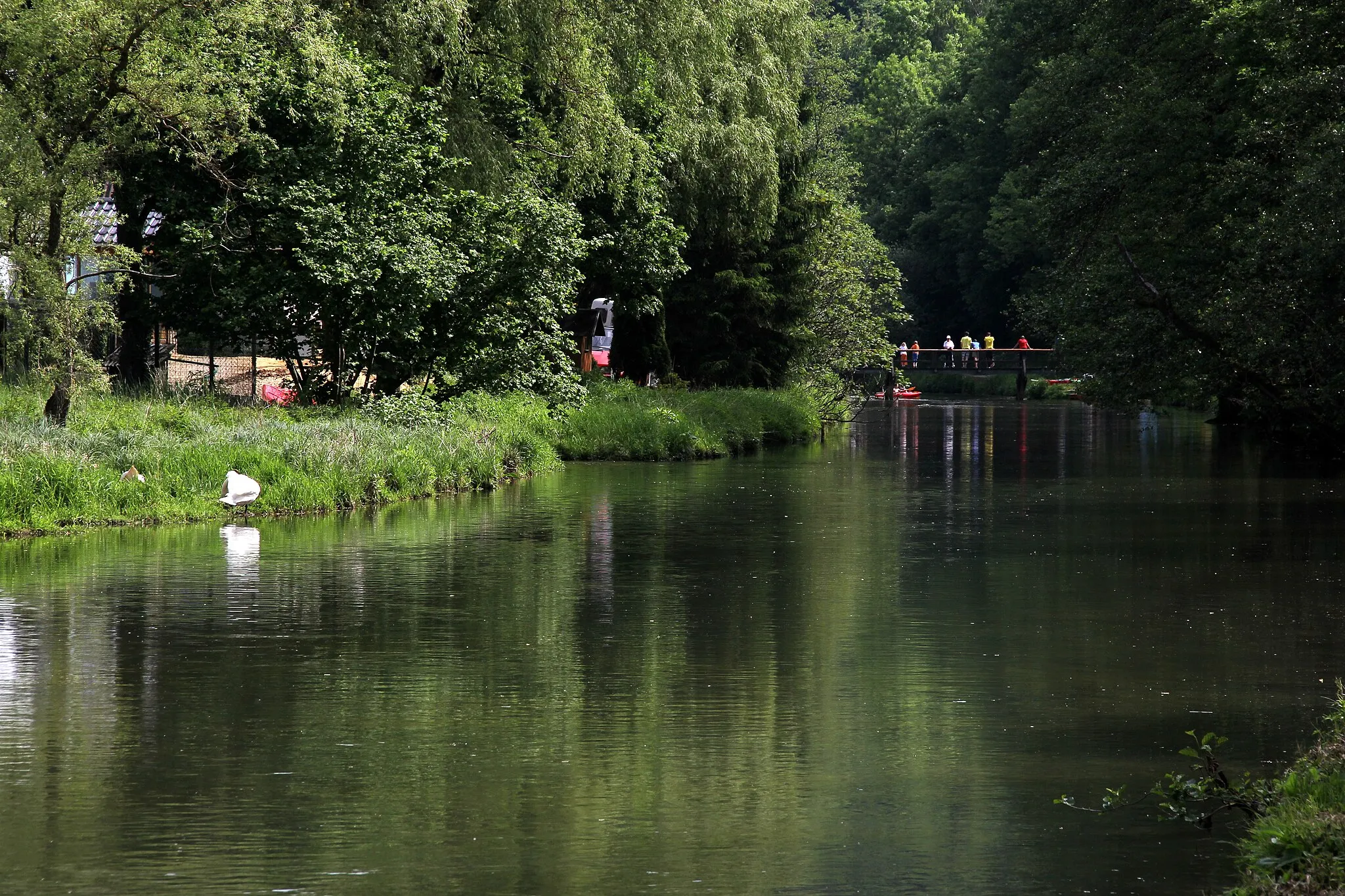 Photo showing: Pegnitz bei Rupprechtstegen