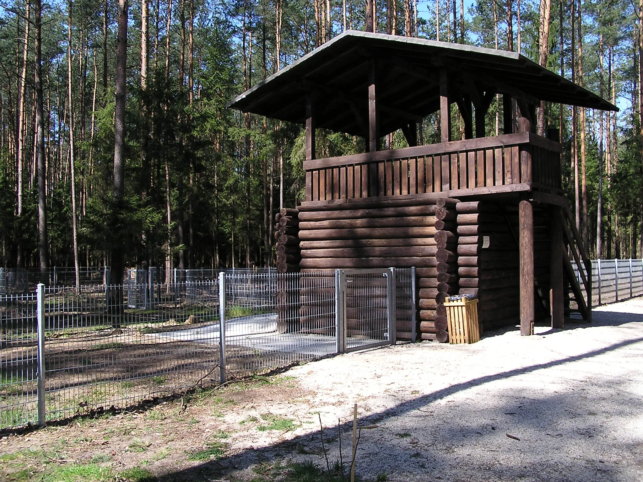Photo showing: Wildschweingehege im Buckenhofer Forst