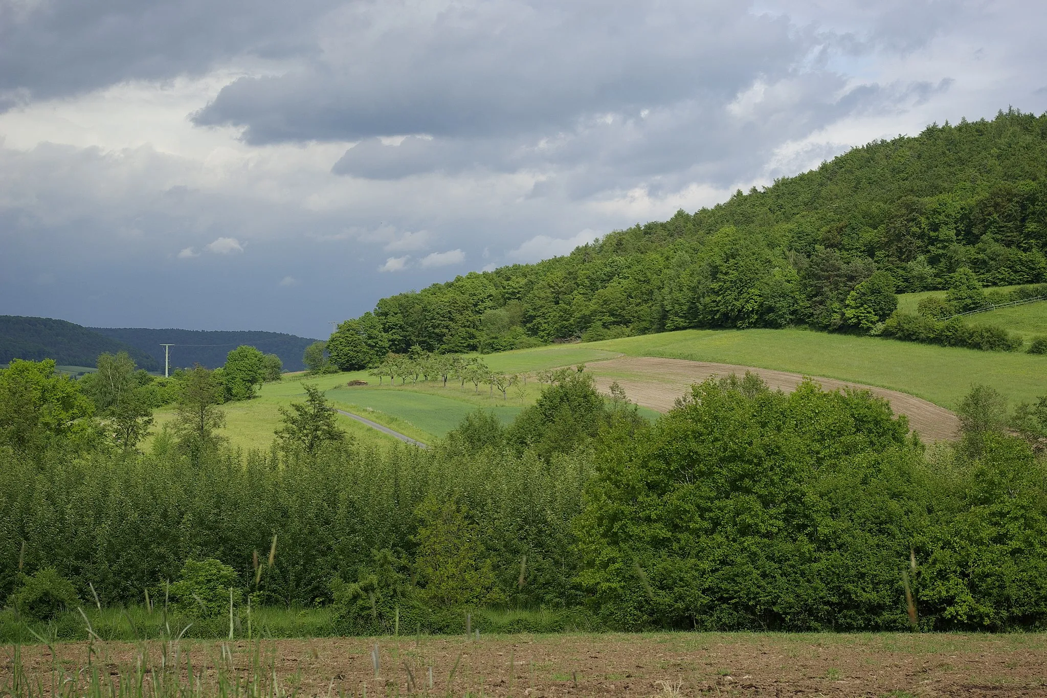 Photo showing: Landschaft bei Geusfeld in der Gemeinde Rauhenebrach im Steigerwald; Gebiet im Naturpark Steigerwald.