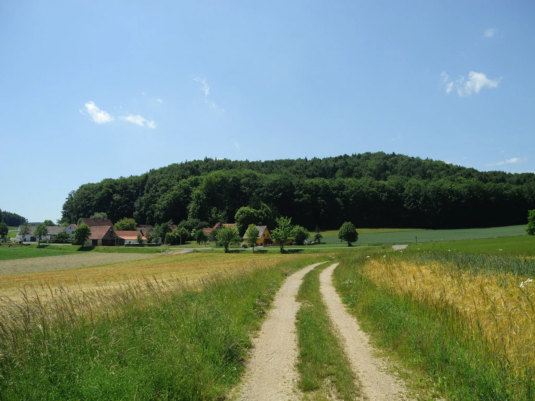 Photo showing: Burgstall Ermhof - Ansicht des Buchenberges aus östlicher Richtung