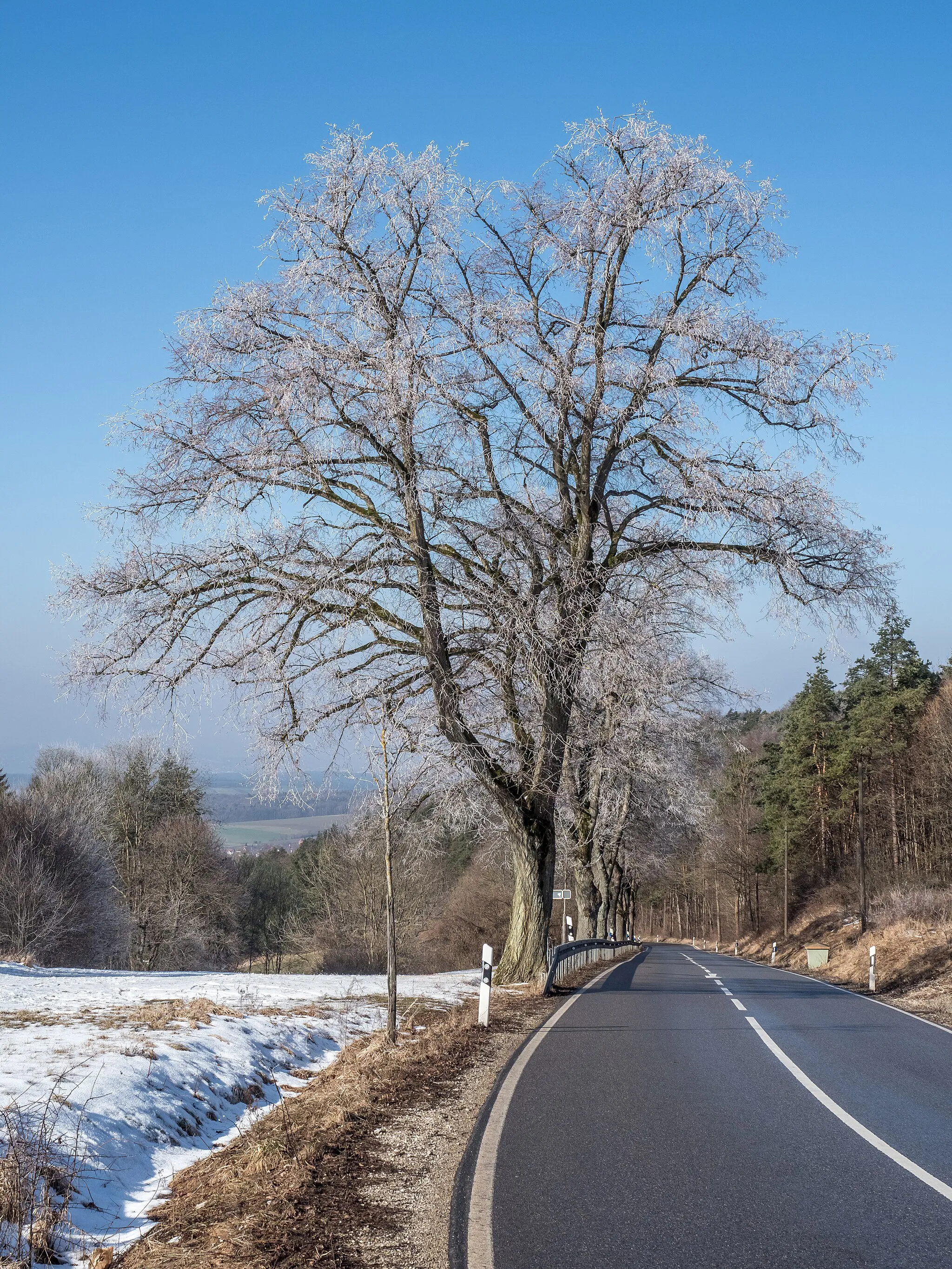 Photo showing: ST2188 between Teuchatz and Zeegendorf at the upper end of Teuchatzer Berg