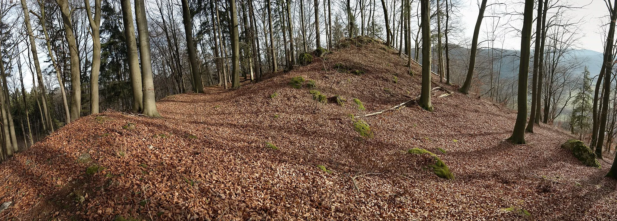 Photo showing: Blick über die Abschnittsbefestigung Hohenstädter Felsen