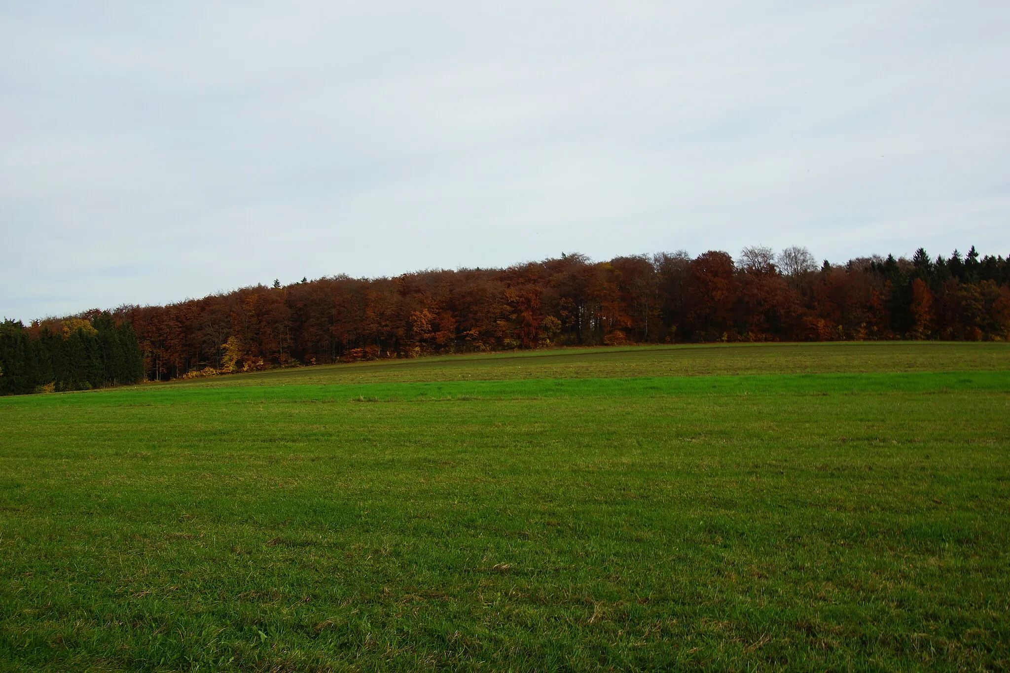 Photo showing: Der Ottenberg bei Neumarkt in der Oberpfalz