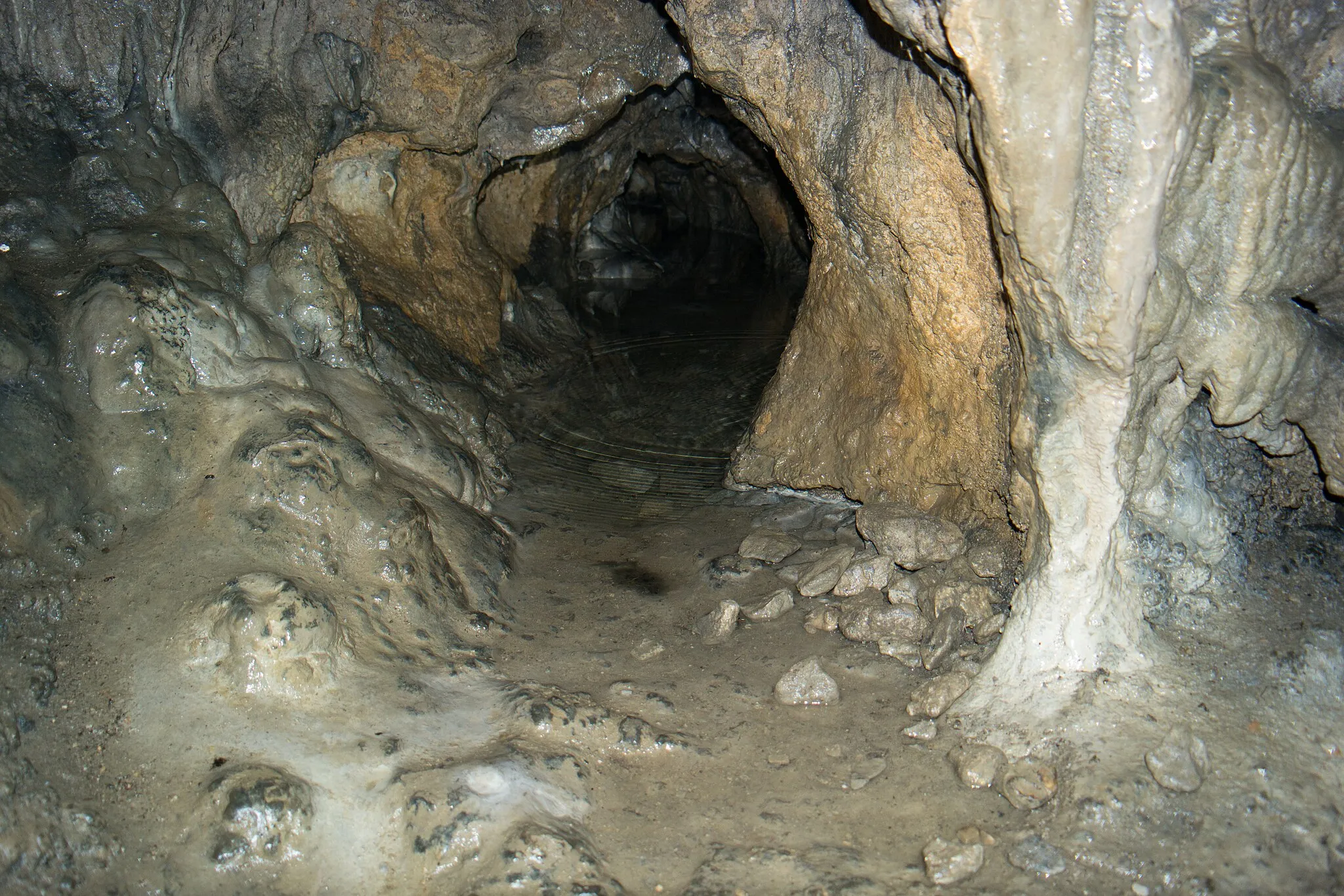 Photo showing: Höhle Marderloch oder Moderloch - Sinterbecken
