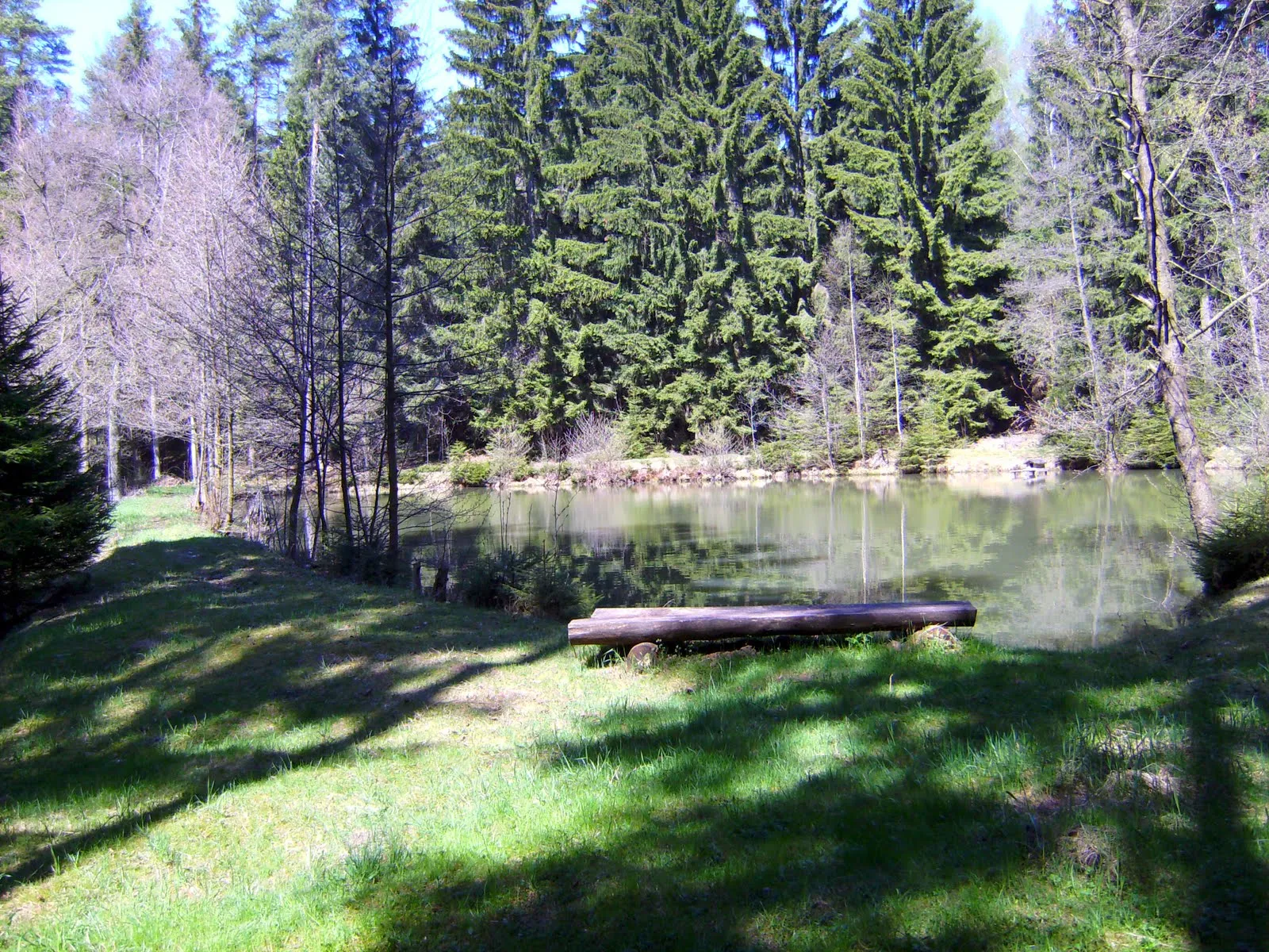 Photo showing: Püttlachweiher