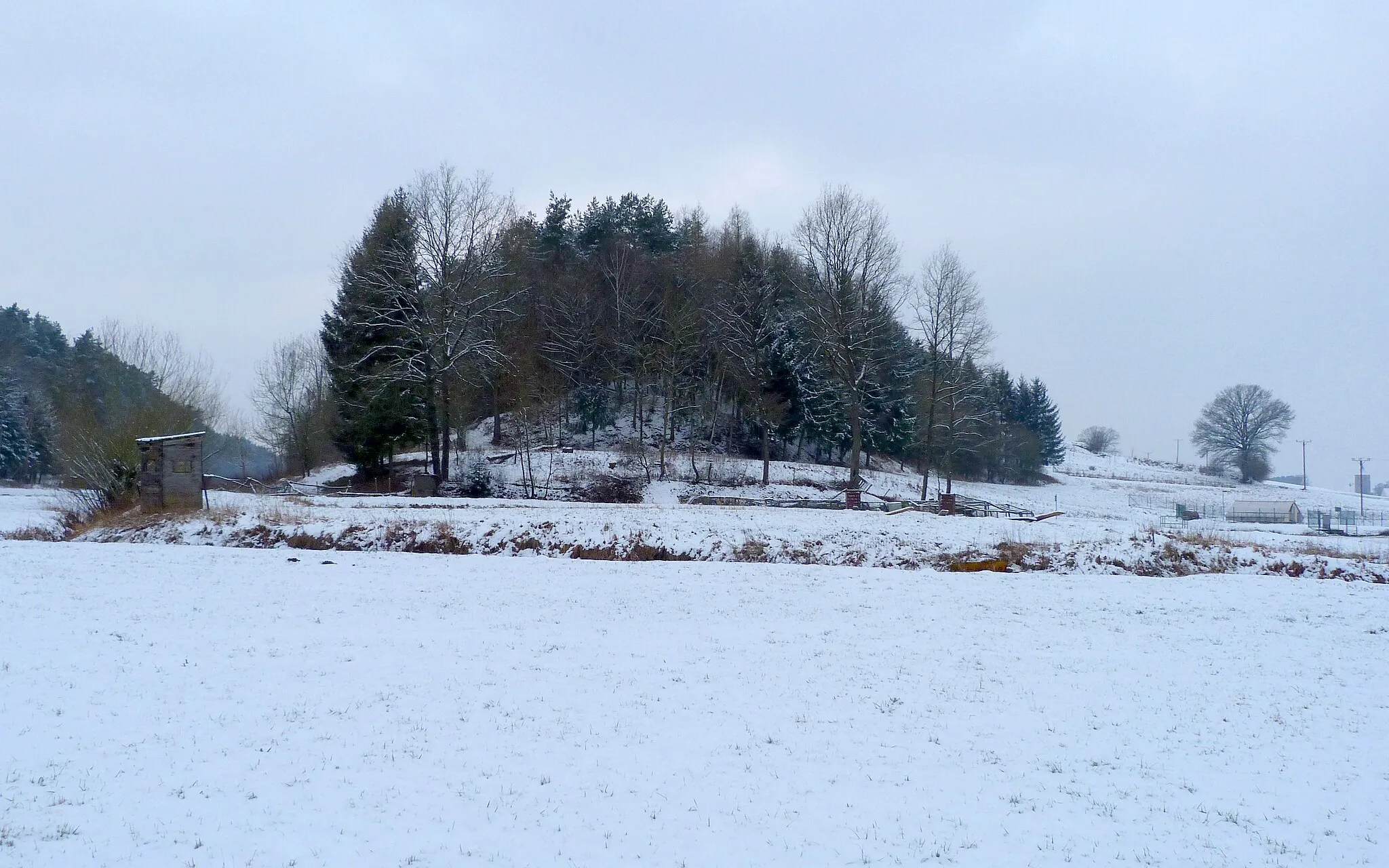 Photo showing: Schlossbuck oder Schlossberg