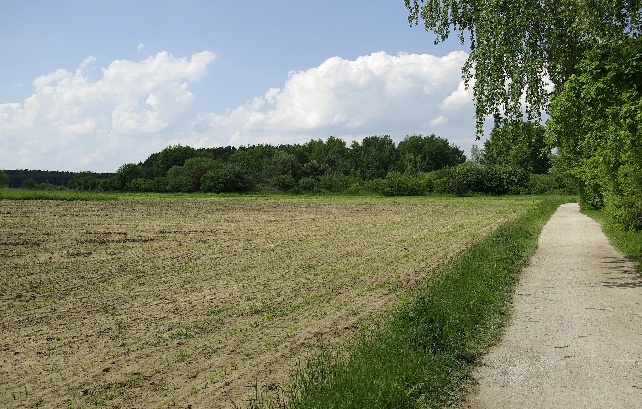 Photo showing: Landschaft im Norden des Erlanger Stadtteils Dechsendorf.