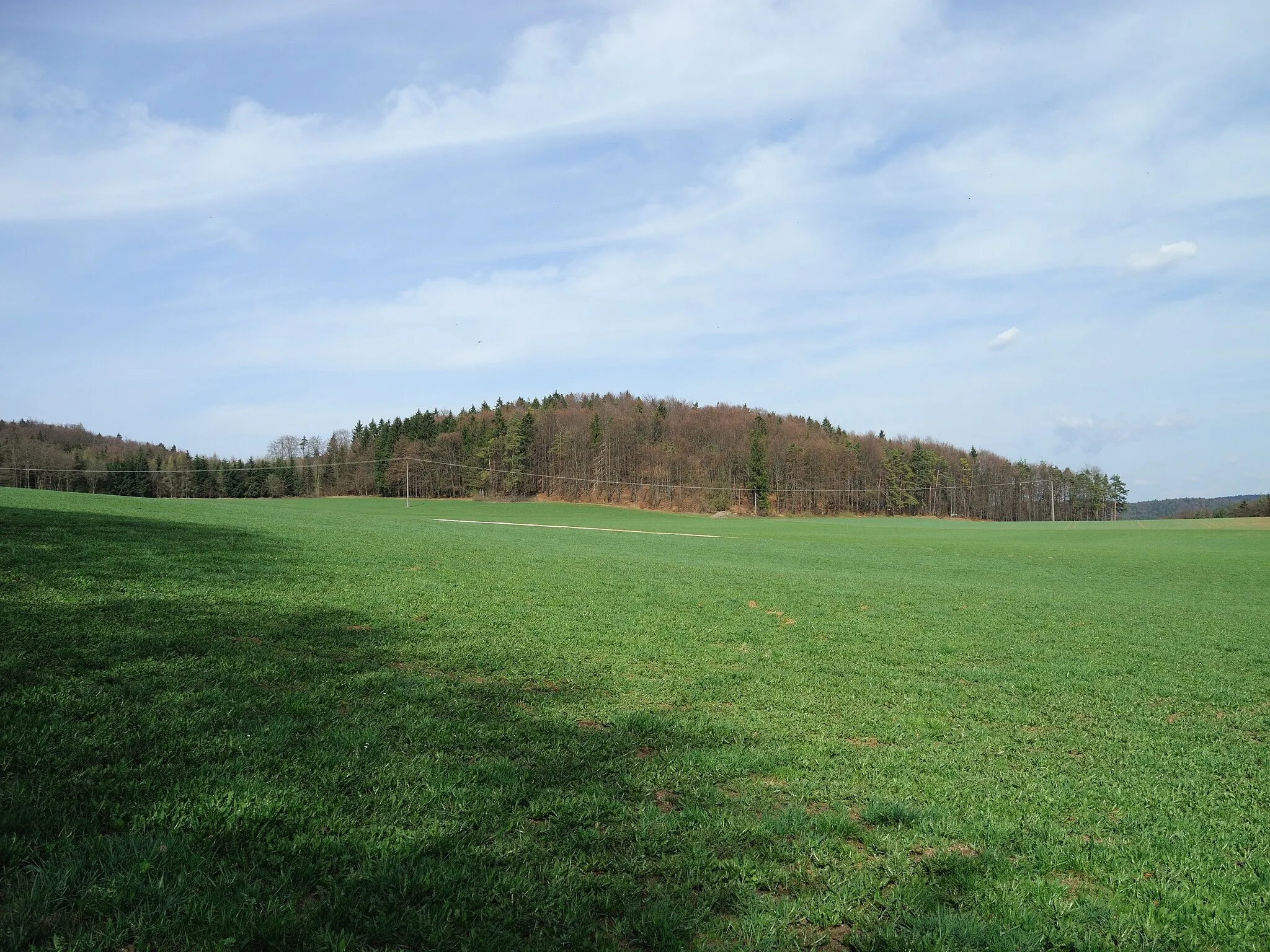 Photo showing: Burgstall Spitzenberg - Ansicht des Spitzenberges aus südöstlicher Richtung