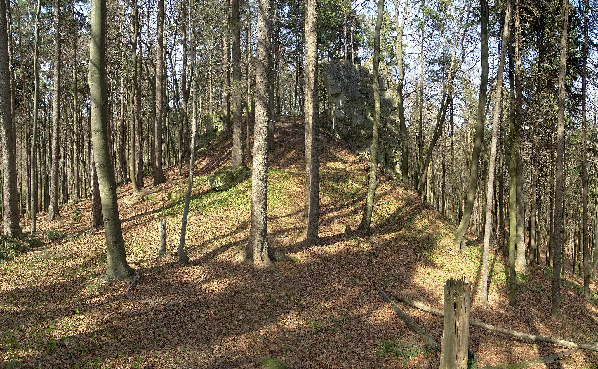 Photo showing: Burgstall Spitzenberg - Ansicht aus südlicher Richtung