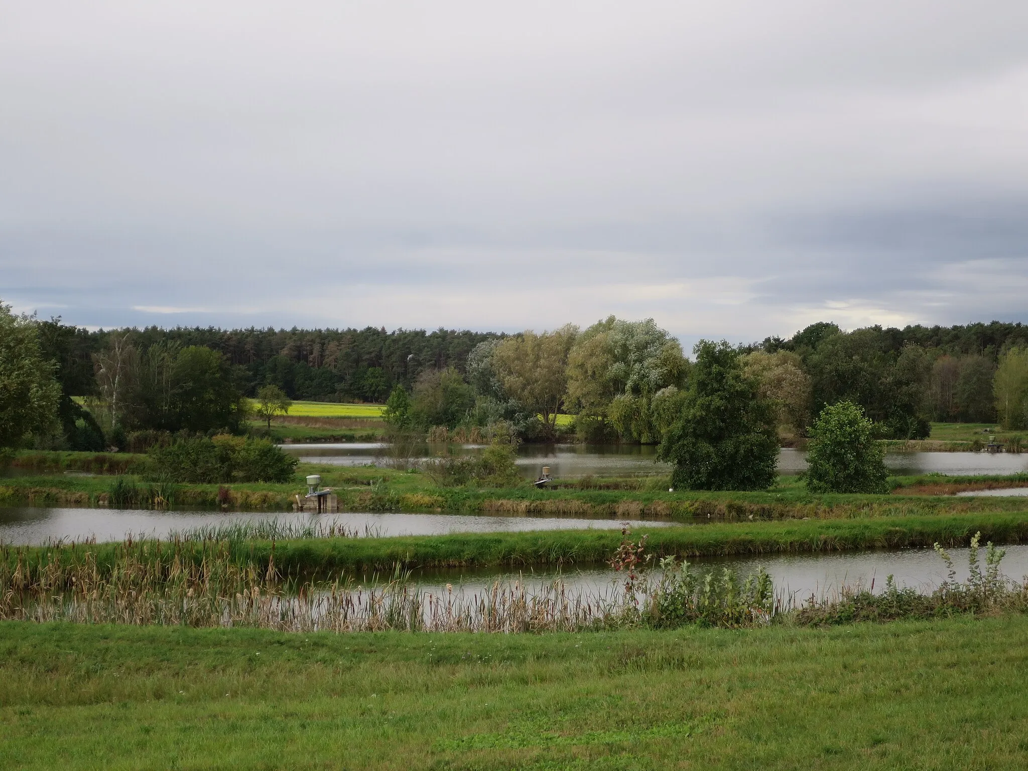 Photo showing: Karpfenteiche bei Rohensaas