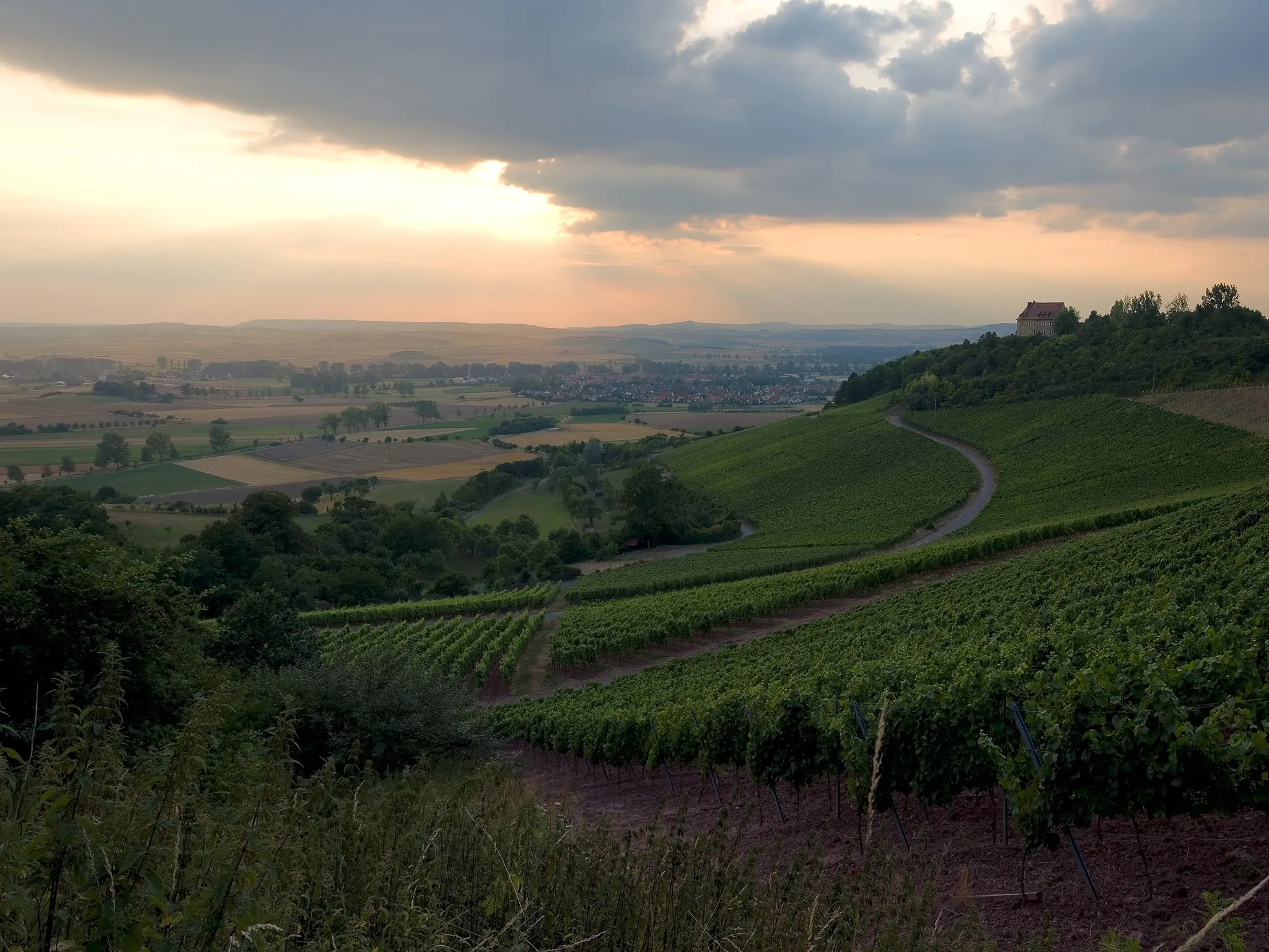 Photo showing: Vineyard near castle Hoheneck with Ipsheim in the background, Bavaria, Germany