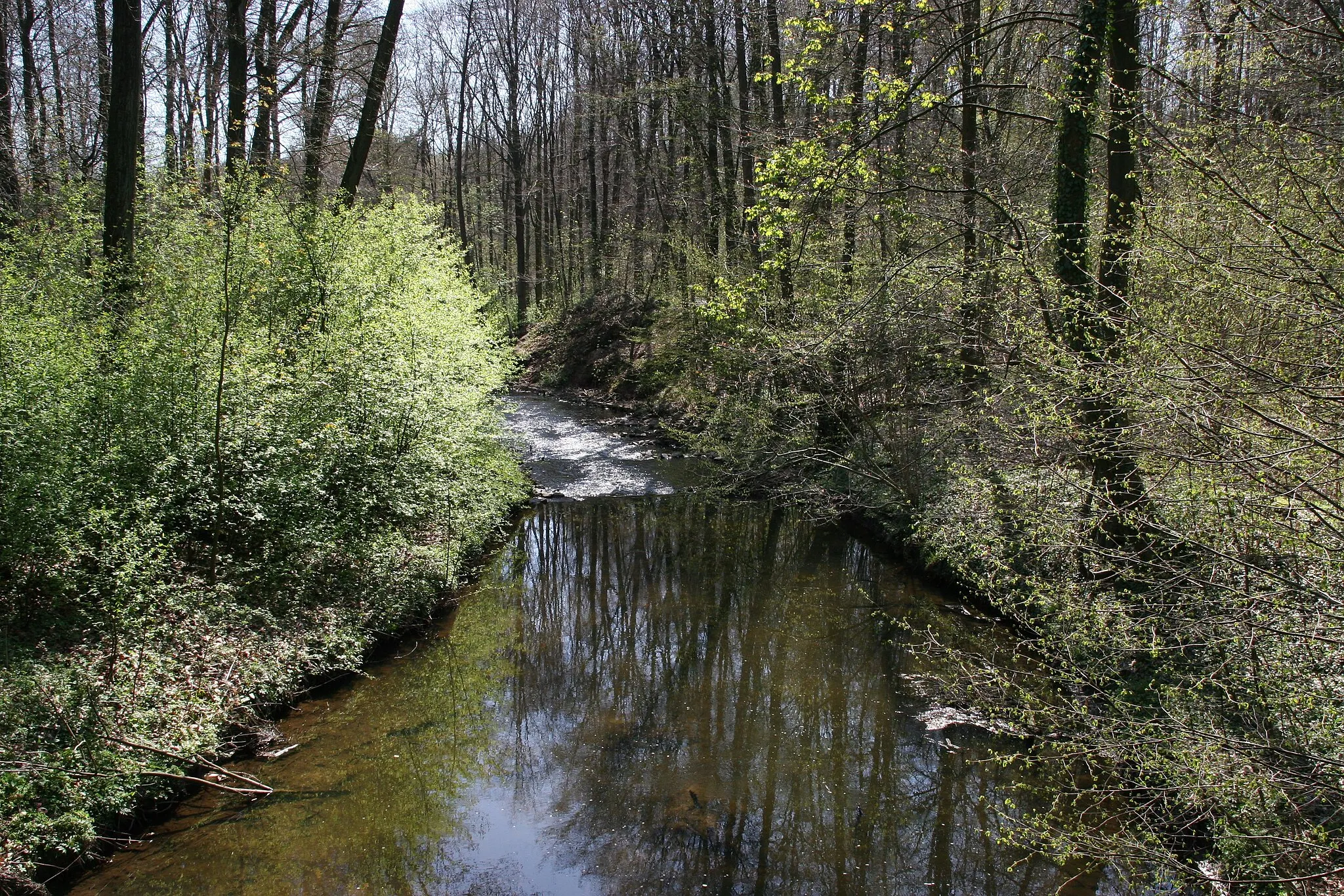 Photo showing: Bissendorf: river Wierau near Schledehausen open air bath