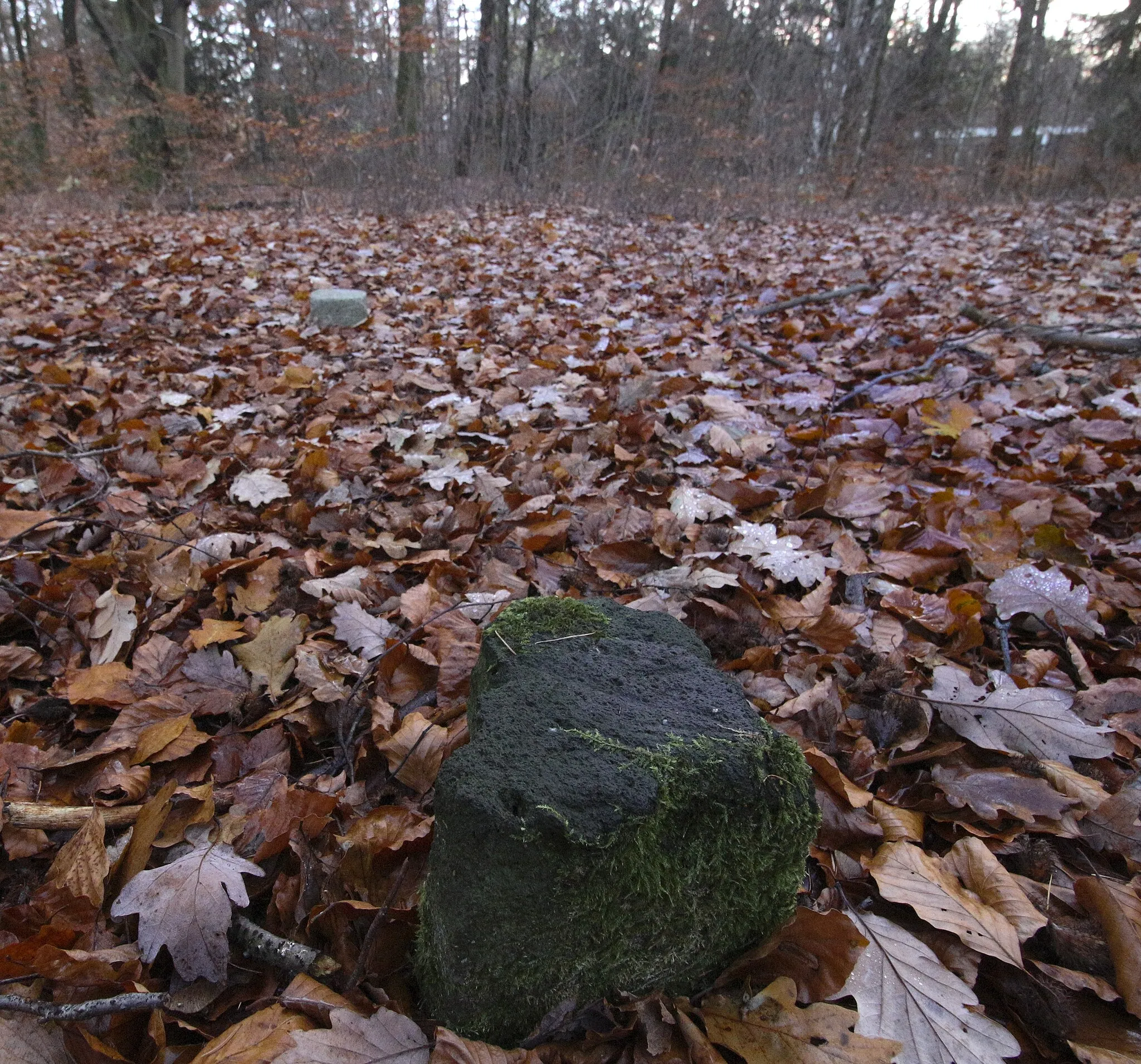 Photo showing: Haltern am See, Monument 53, Messpunkt Waldbeerenberg