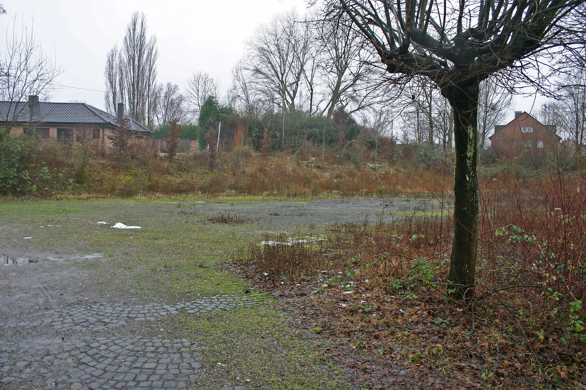 Photo showing: Hp Gelsenkirchen-Buer Süd: Blick vom Bahnsteig auf den Standort des ehemaligen Empfangsgebäudes westlich der Gleisanlagen.