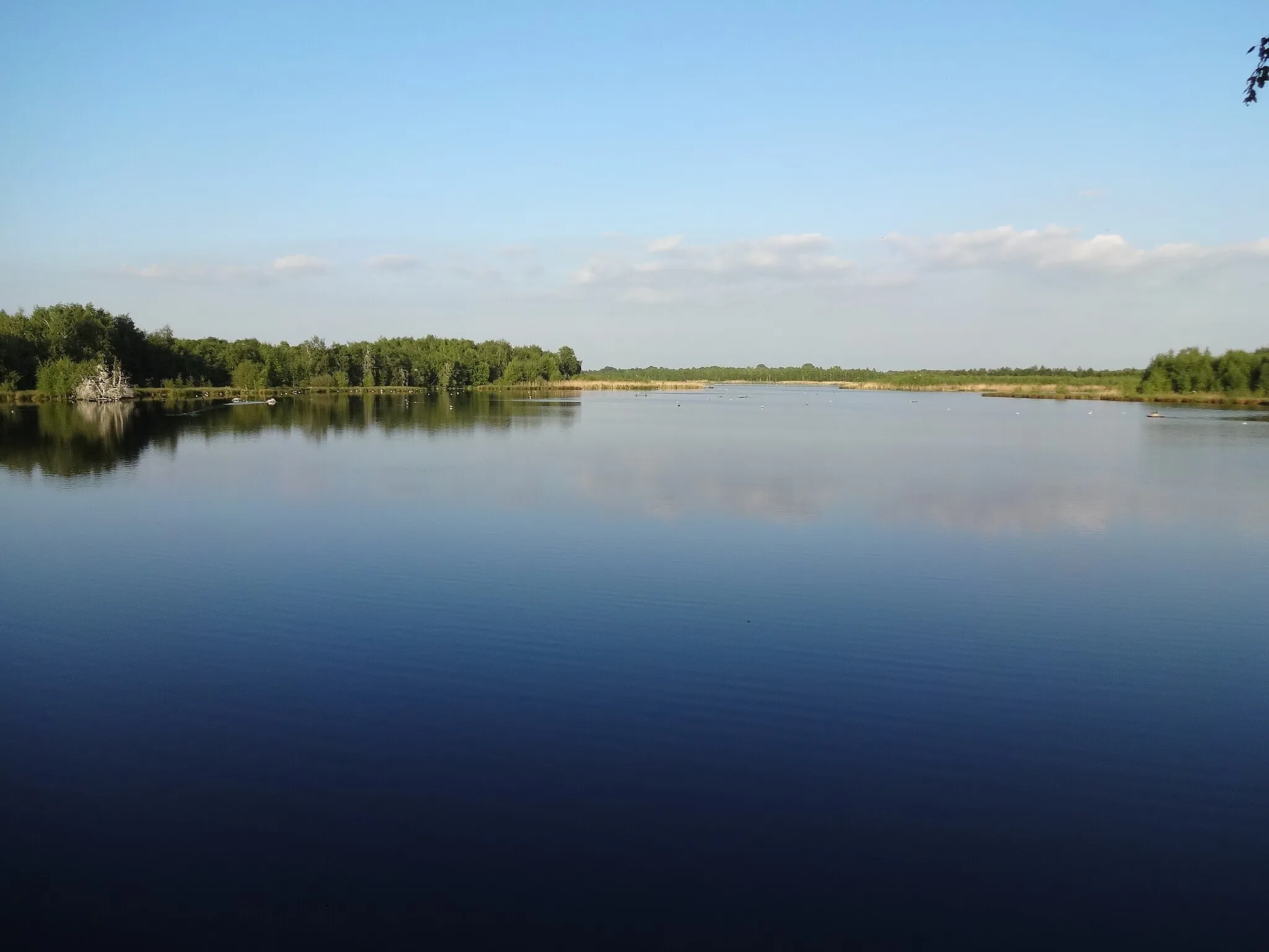 Photo showing: Das Zwillbrocker Venn in Vreden im Mai 2014.