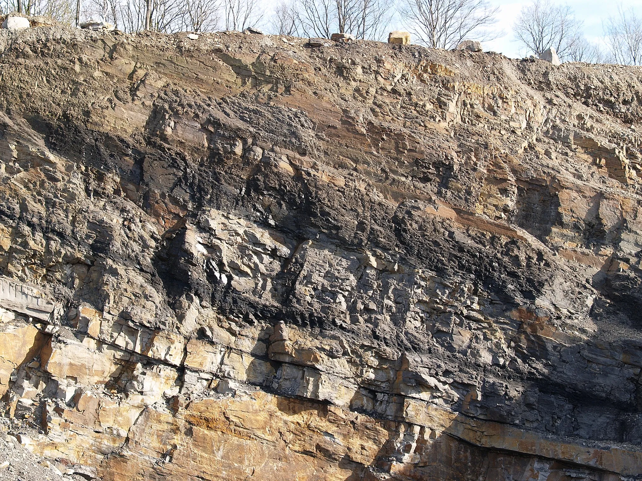 Photo showing: Thin coal seams intercalated with beds of the Namurian (Pennsylvanian) “Ruhrsandstein”. Quarry near the town of Wetter (Ruhr), North Rhine-Westphalia, Germany