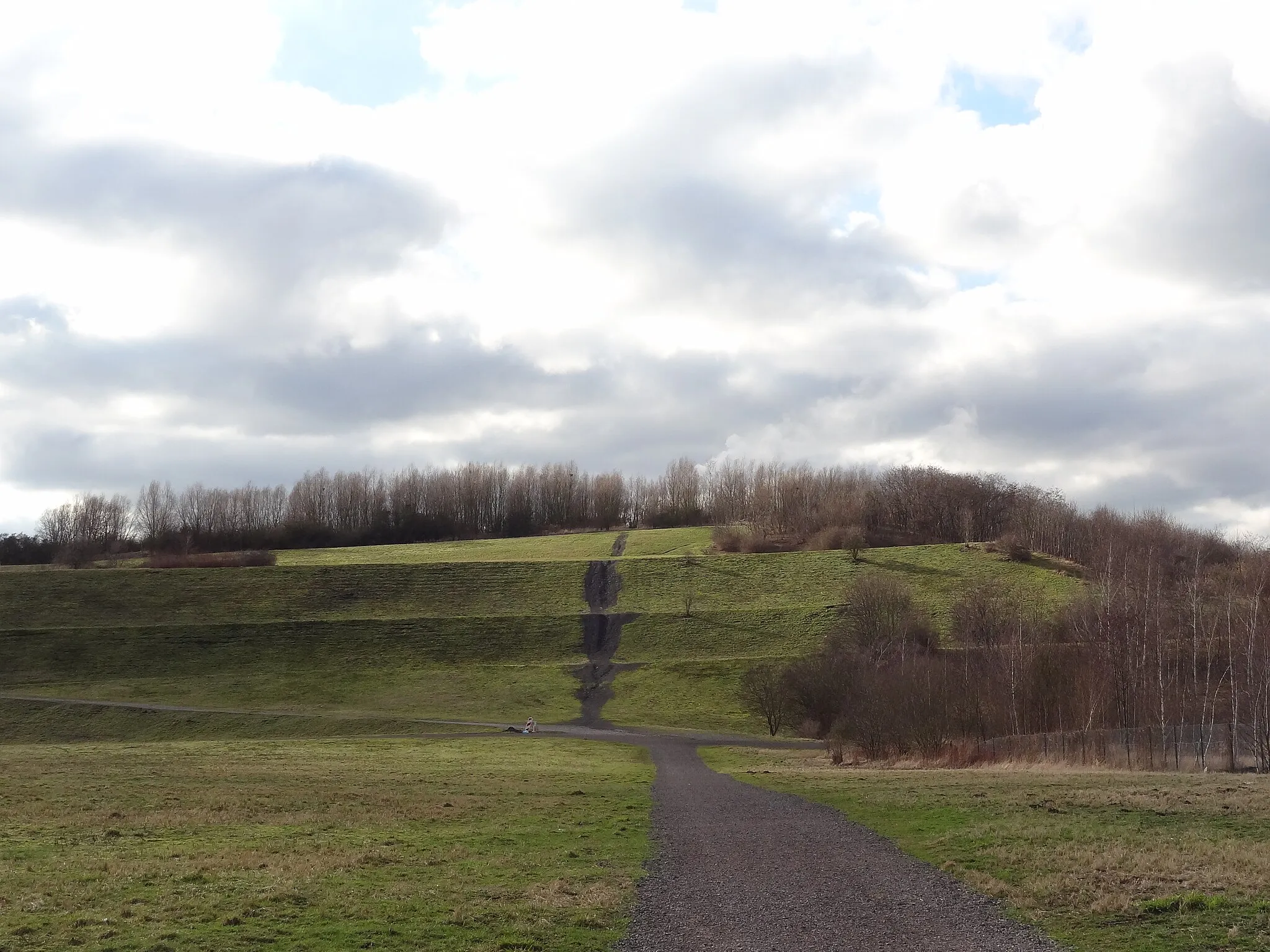 Photo showing: Hamm, Germany: Blick von Osten auf die Halde Radbod