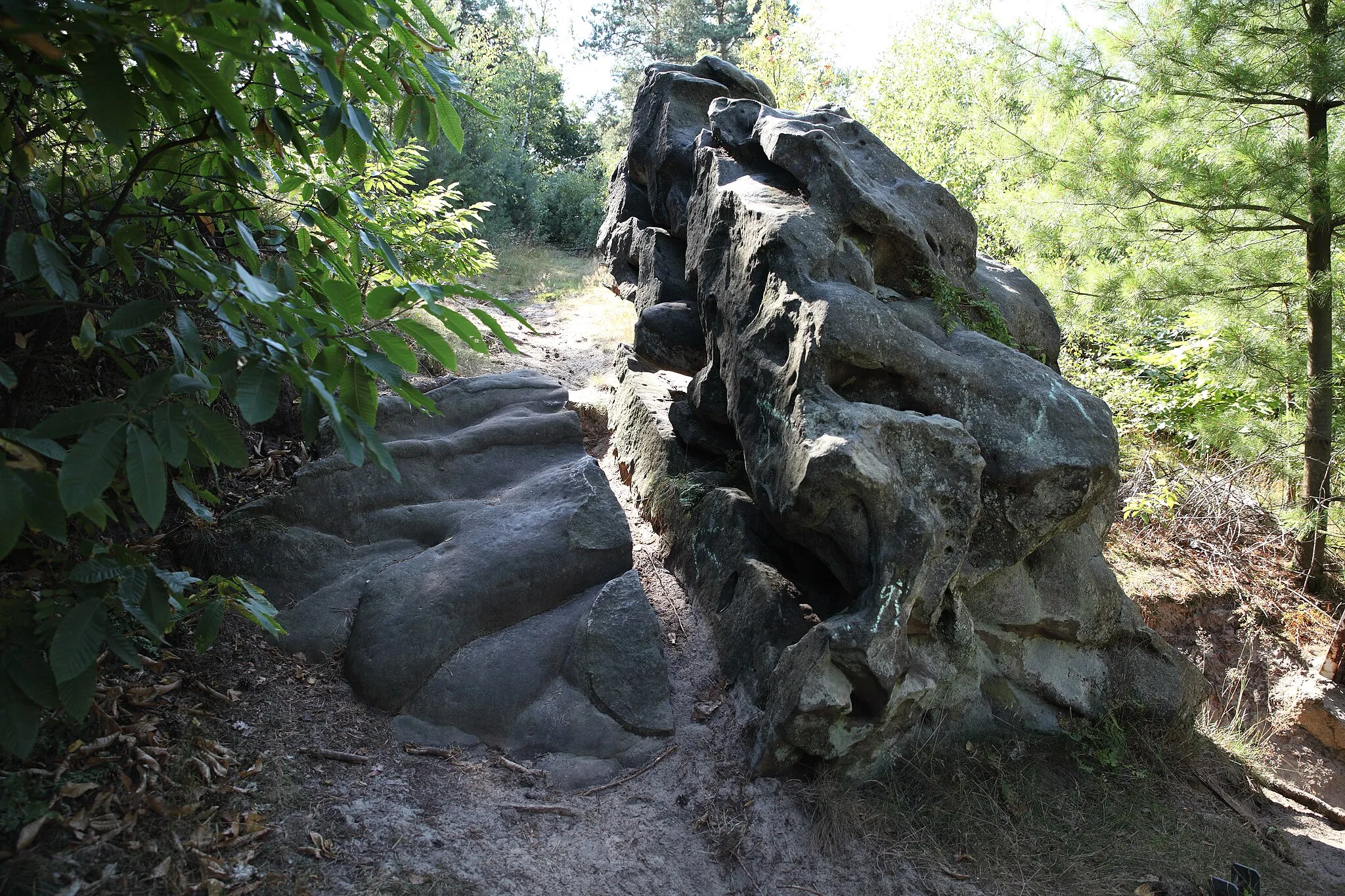 Photo showing: Devilsstone at Stimberg (block of quartzite)
